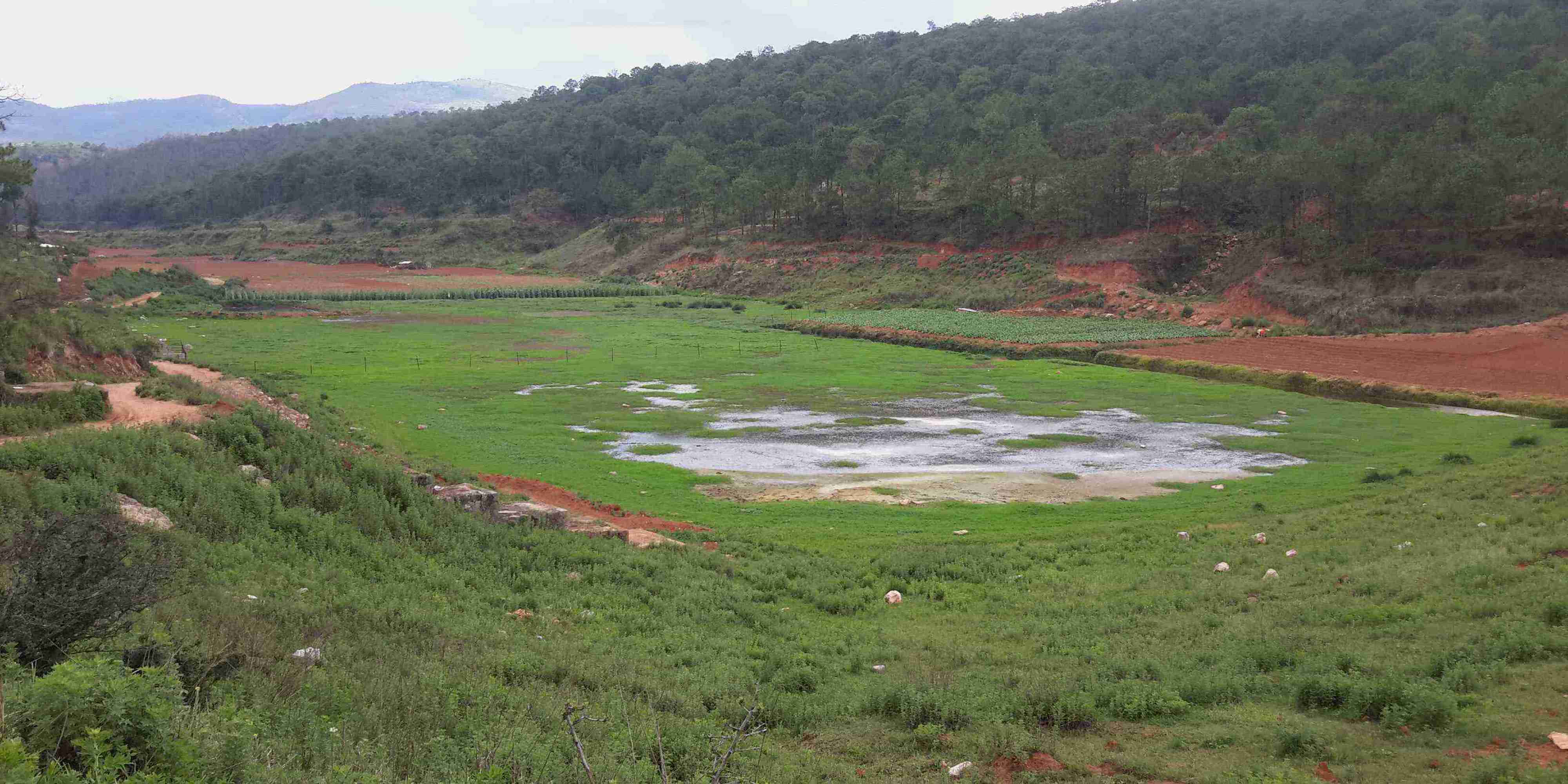 窑冲河水库