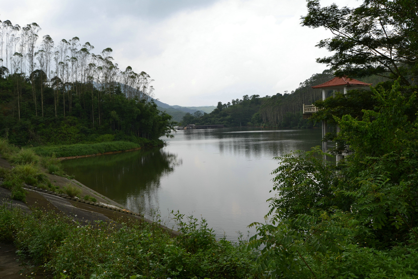 竹坑水库