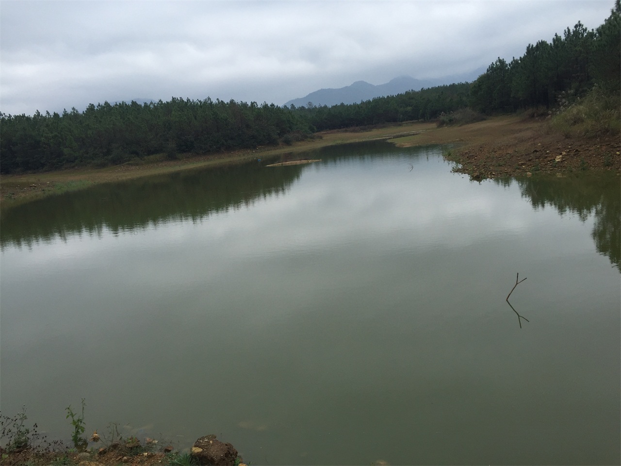 水背水库