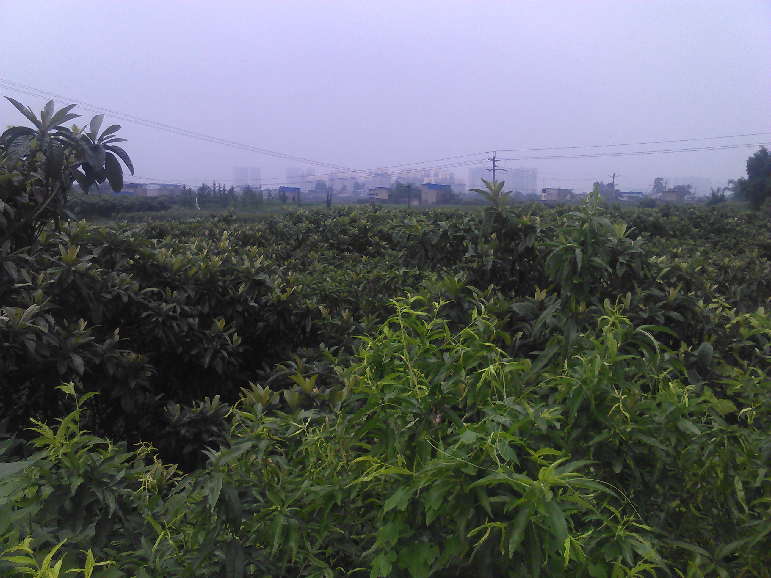 龙泉花果山风景名胜区