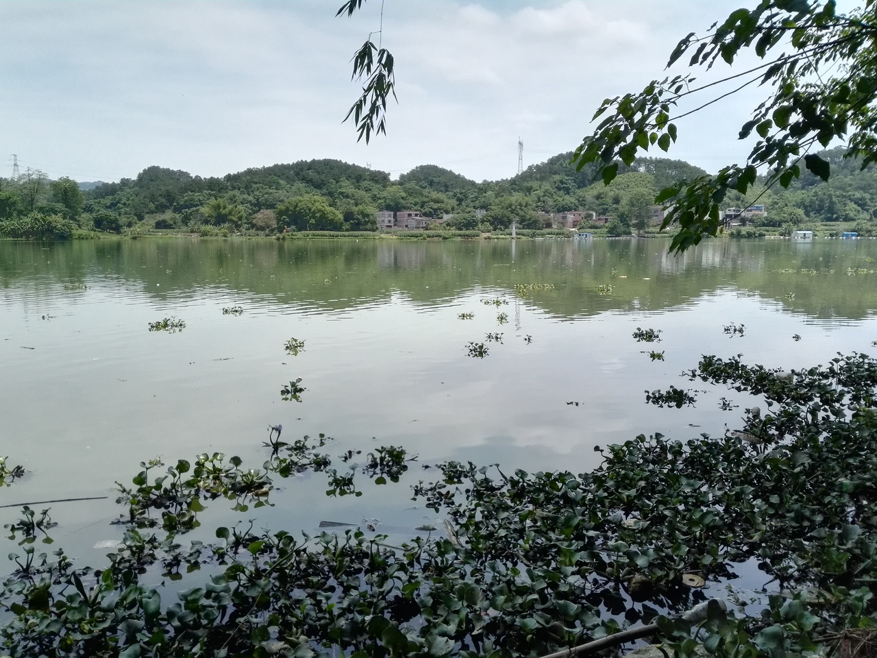 武鸣河