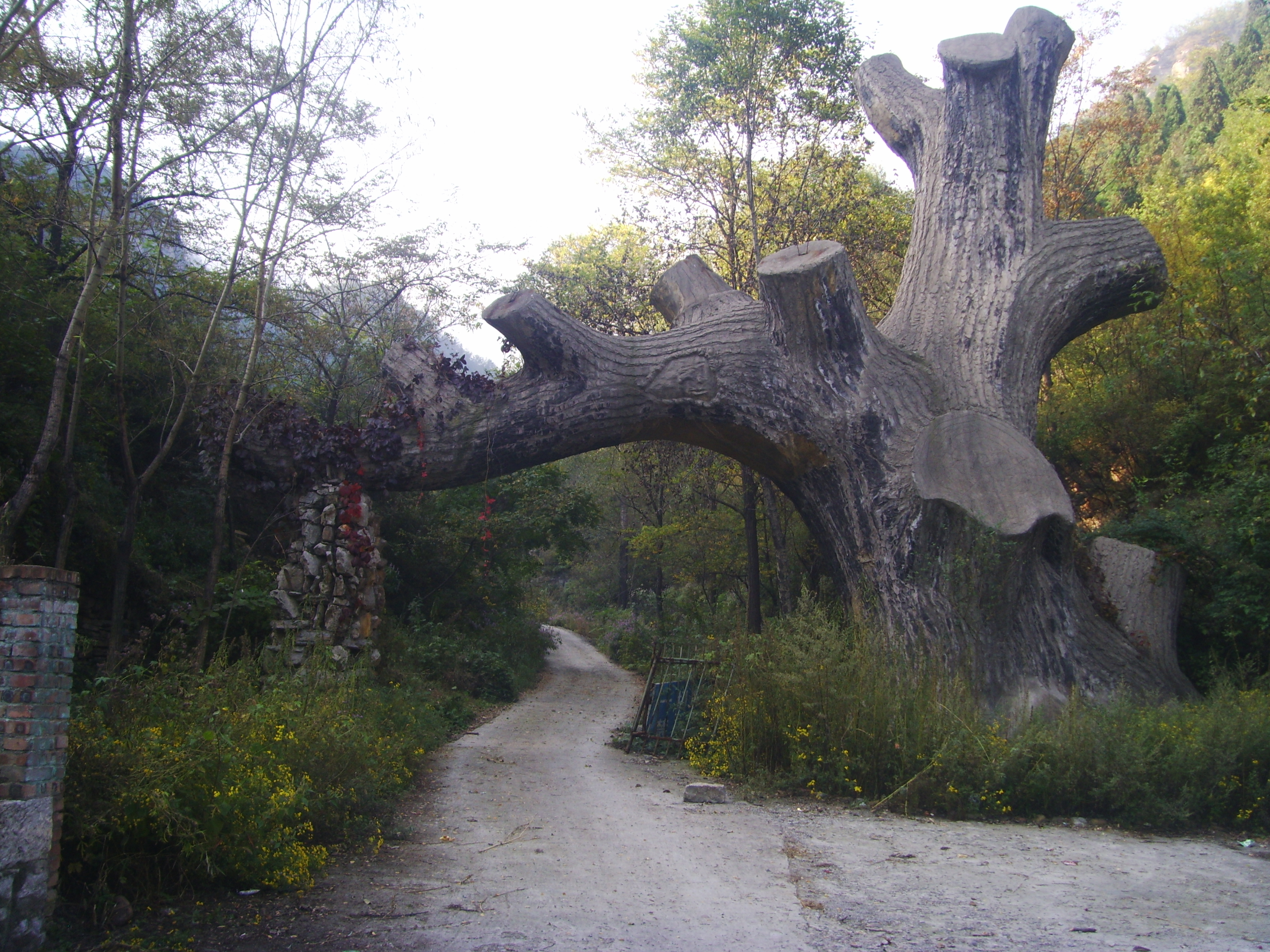 黄花山旅游区