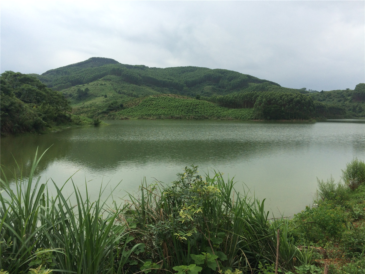 屋背冲塘坝