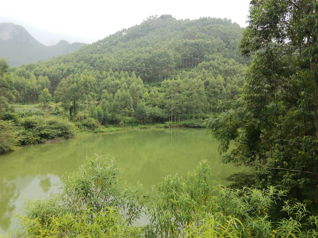 渌下水库