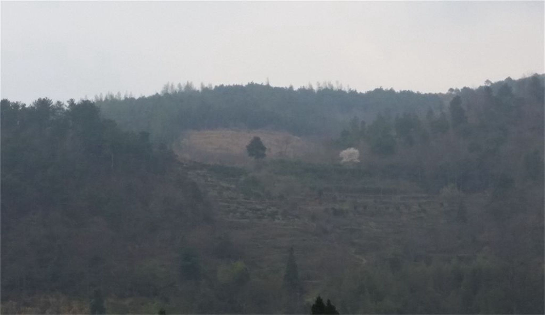 天星山乡村旅游风景区