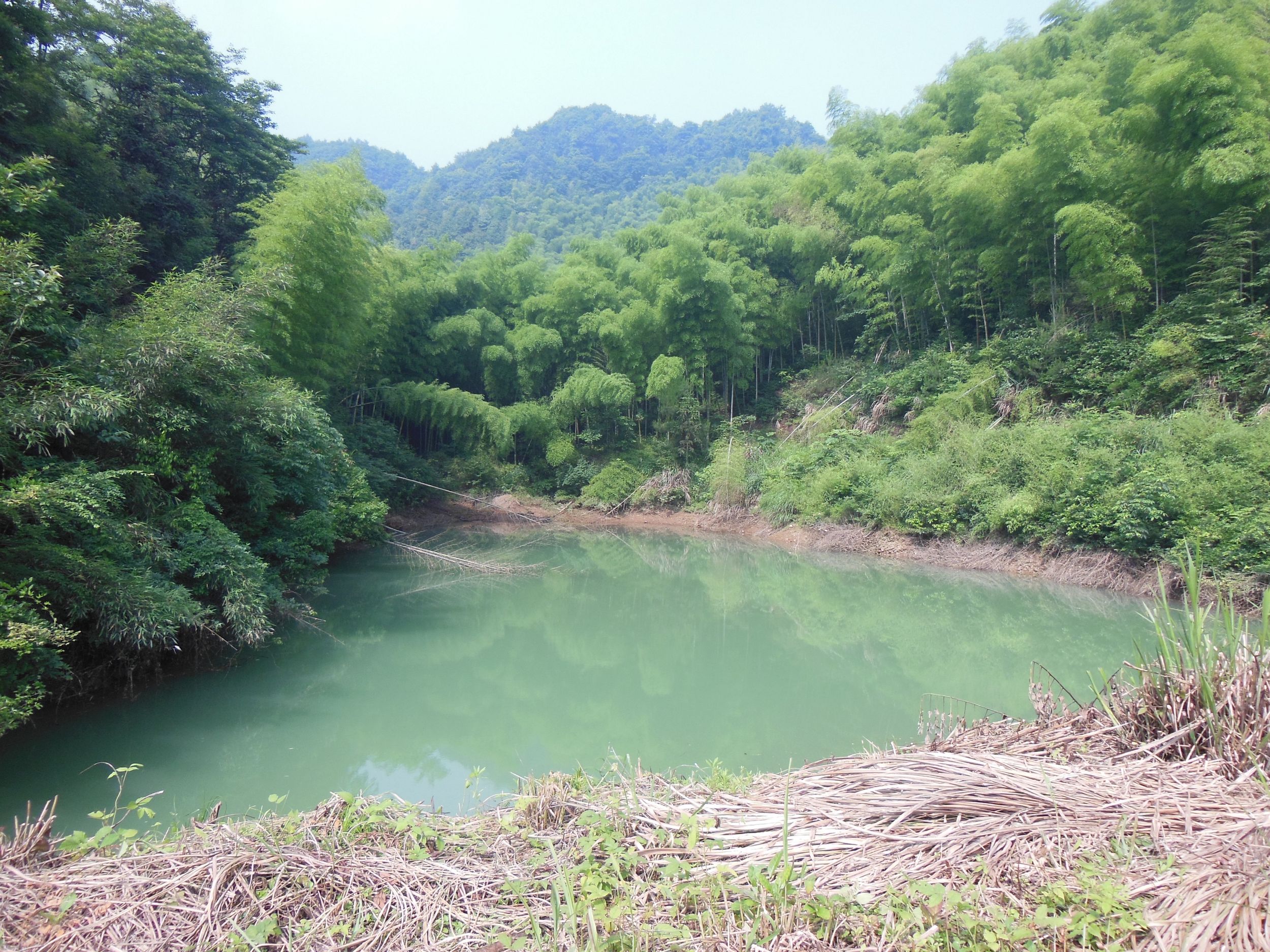 野猪弄水库