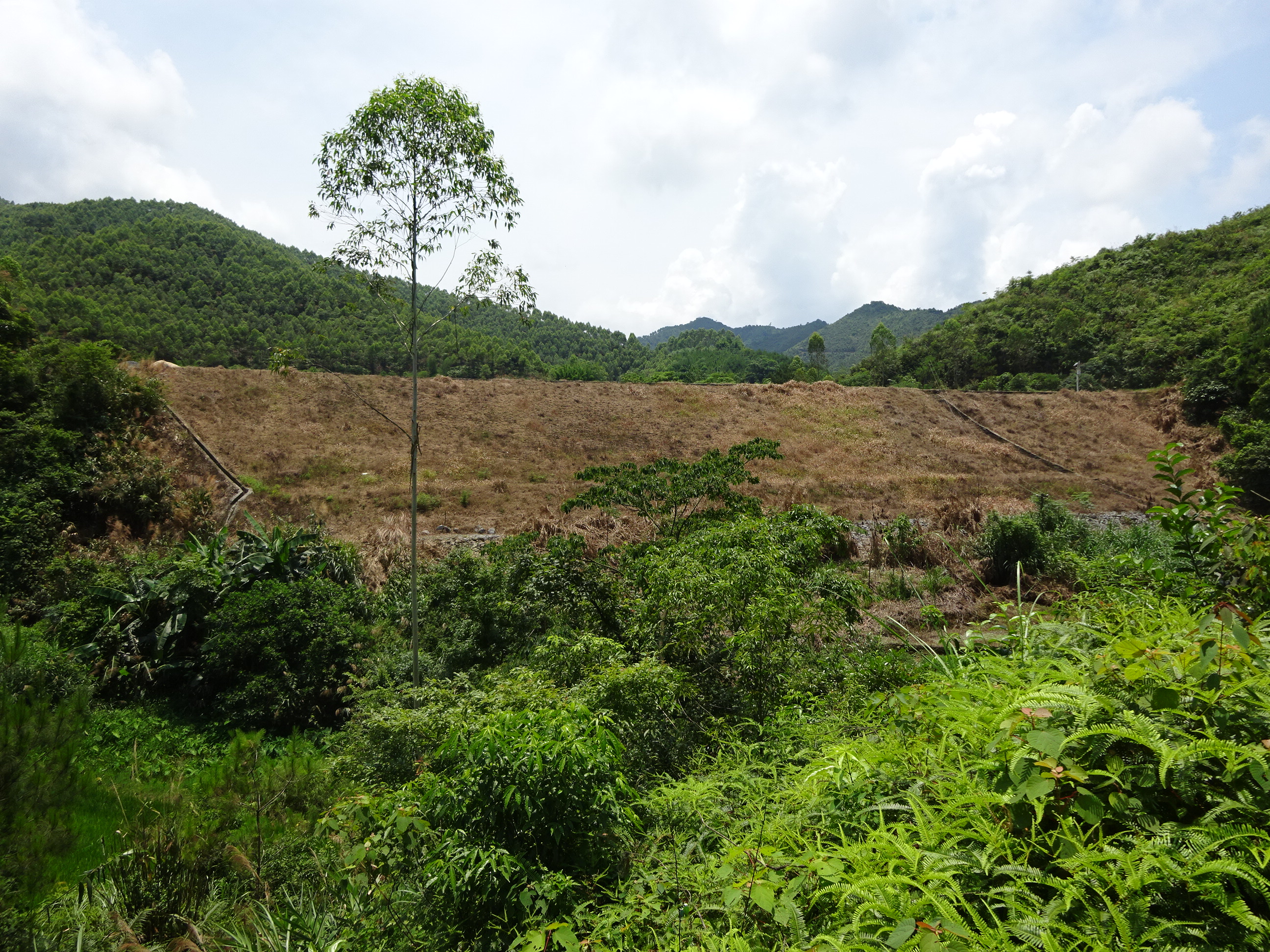 胡来水库