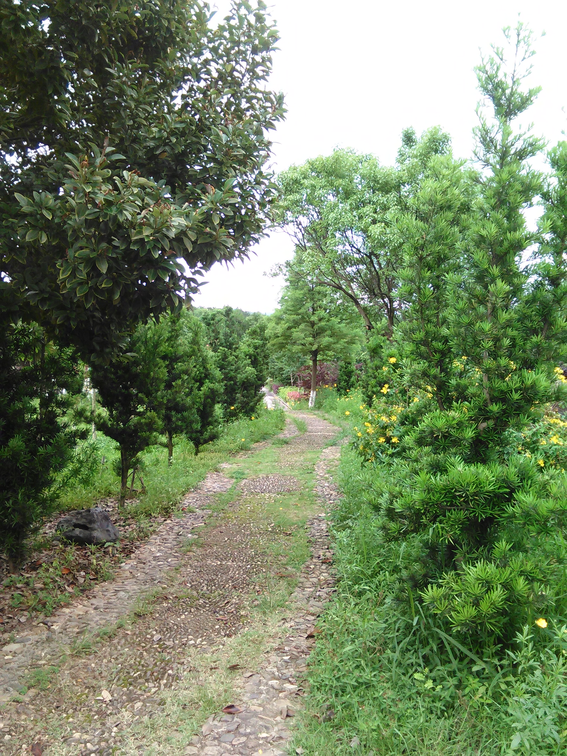 长汀县水土保持生态科教园