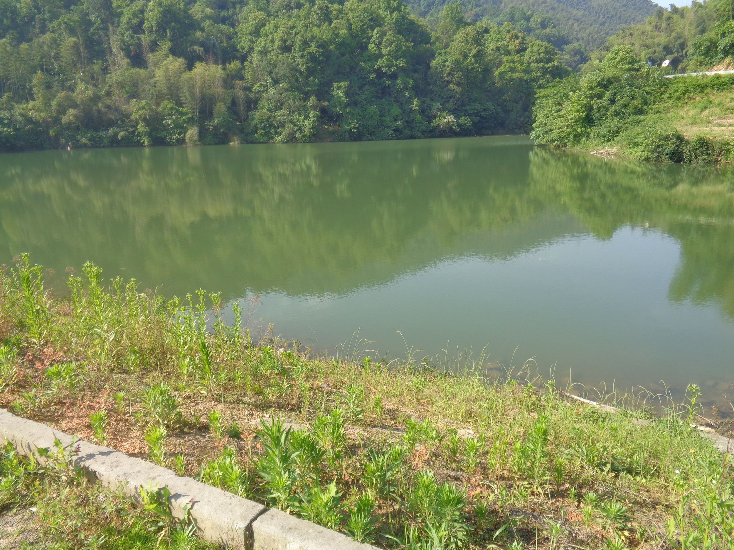 水竹塘山塘水库