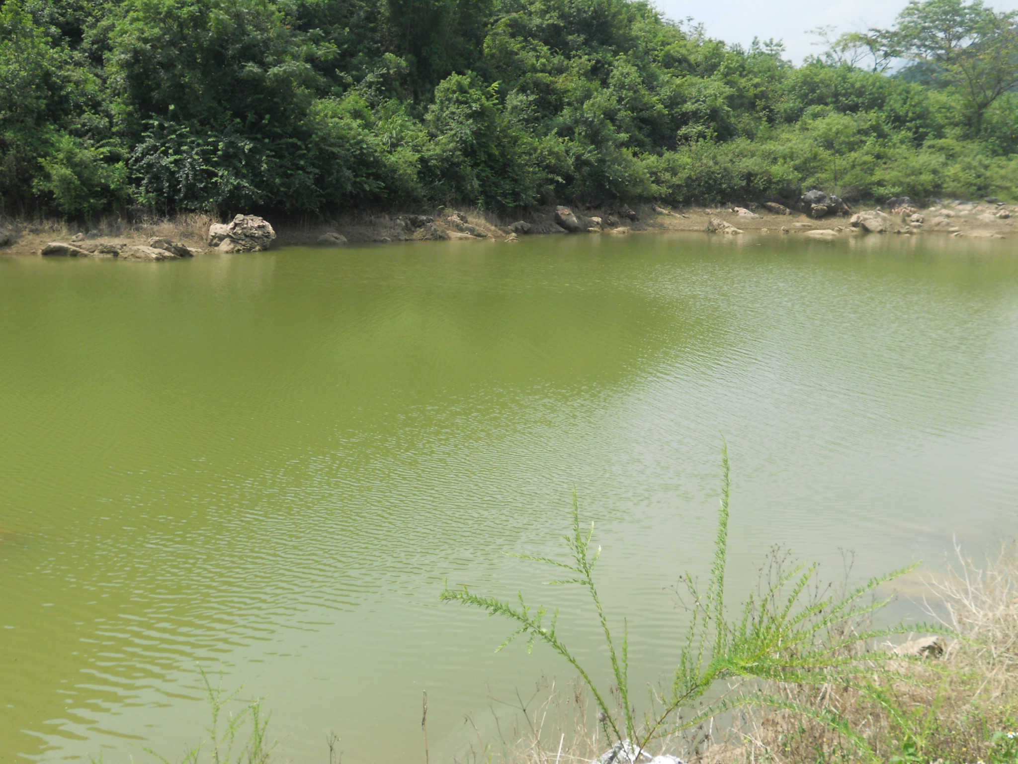 龙闷水库