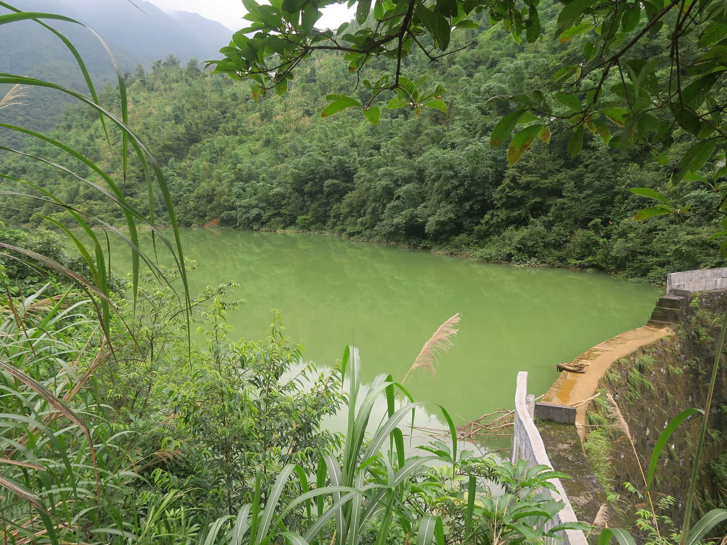 洪礤水库