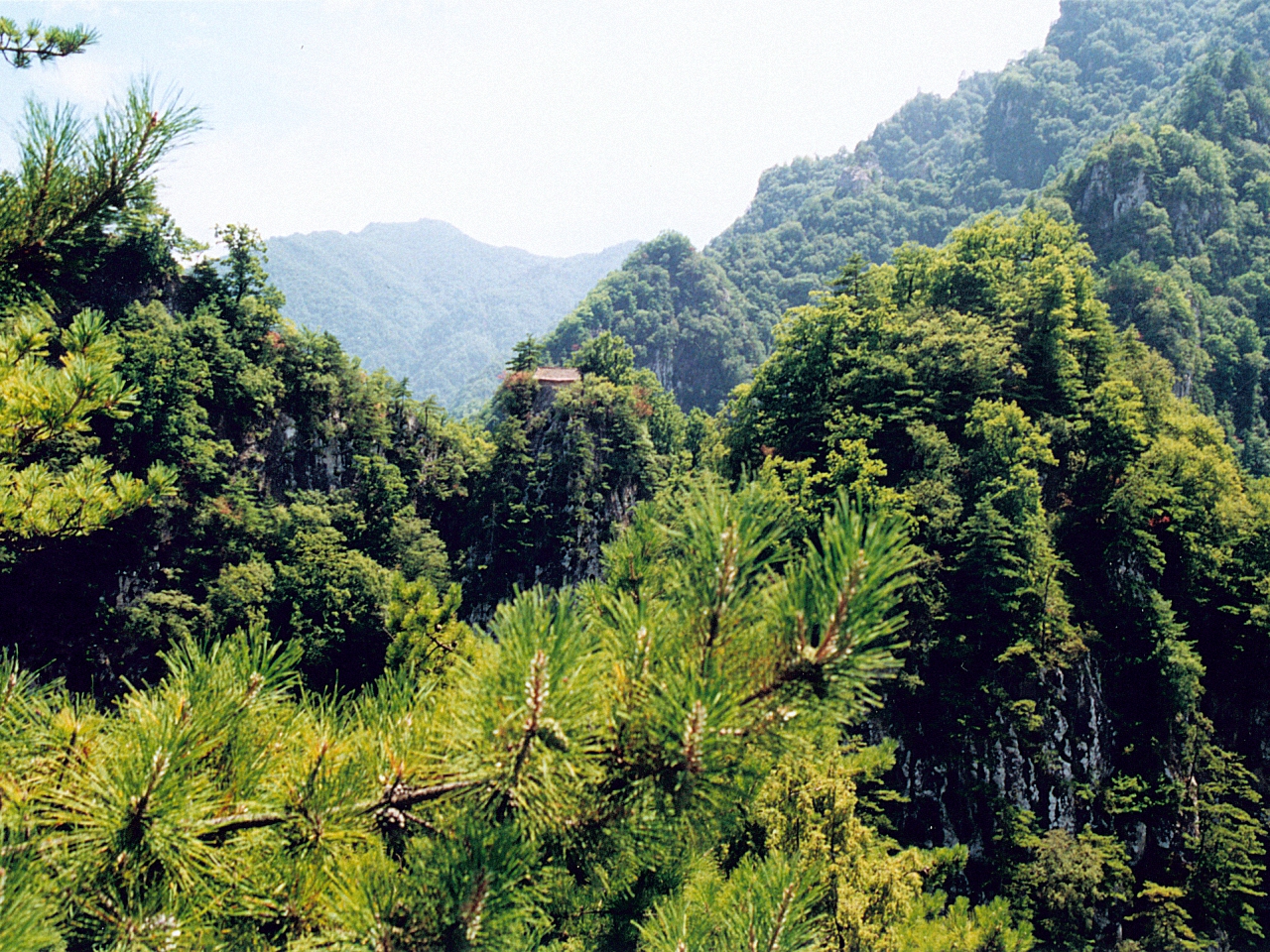 太白山