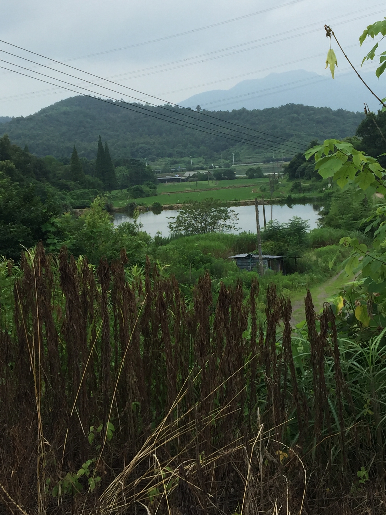 五岭山塘