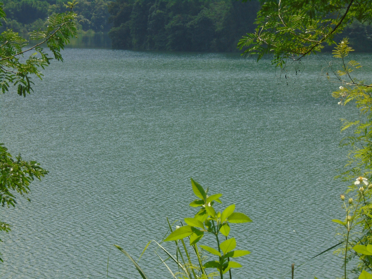 联安水库