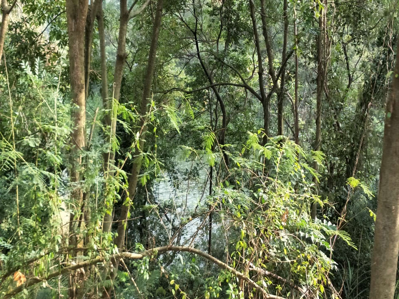 田寮水库