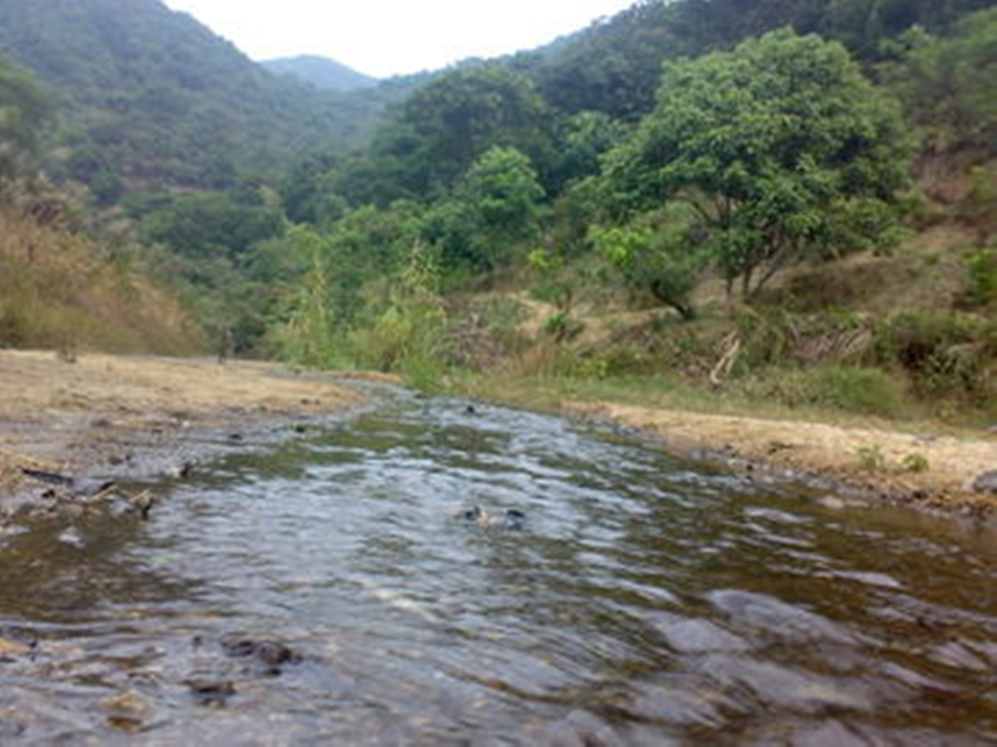 尼马洛巴河口