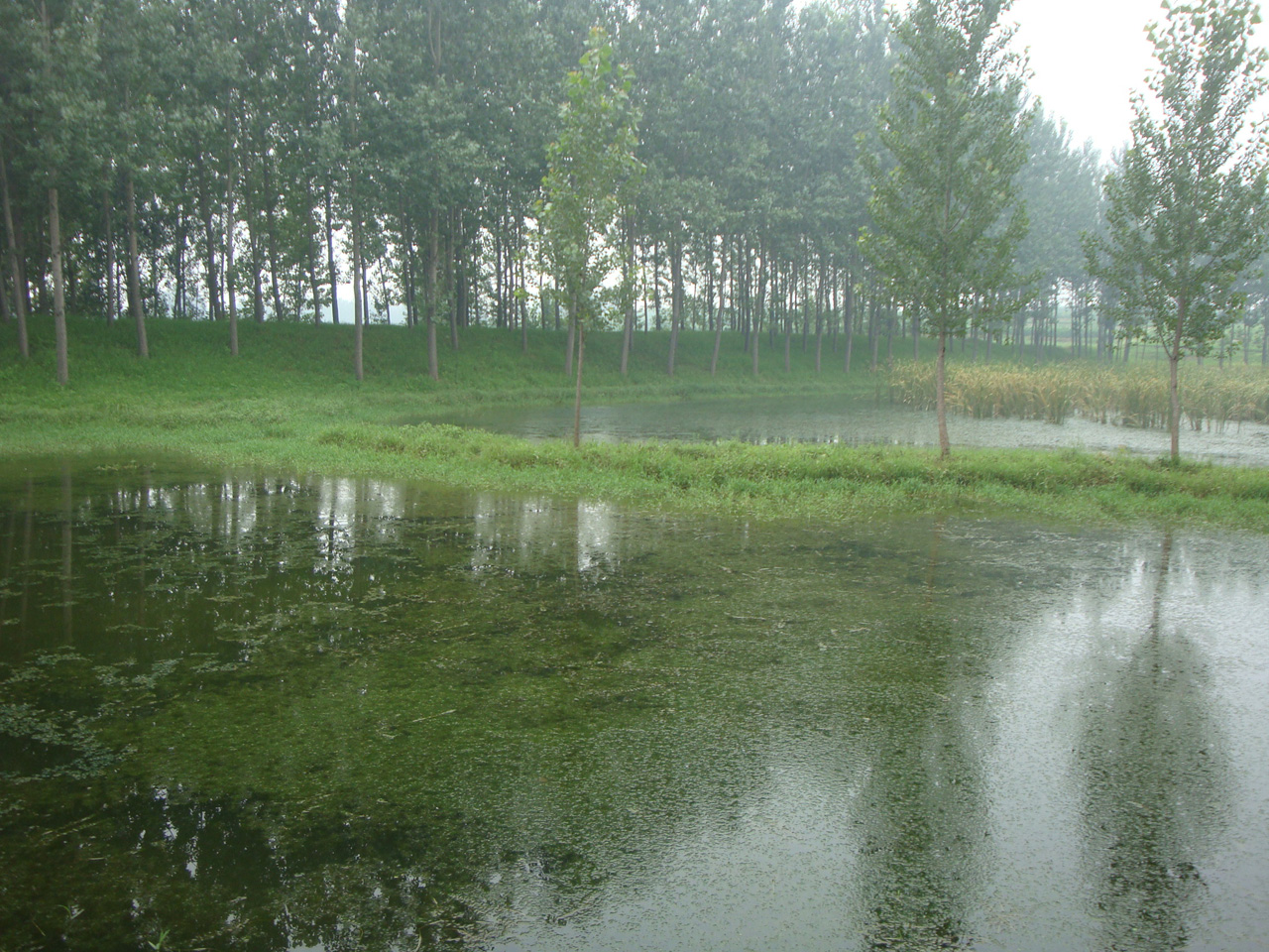 黄家河水库