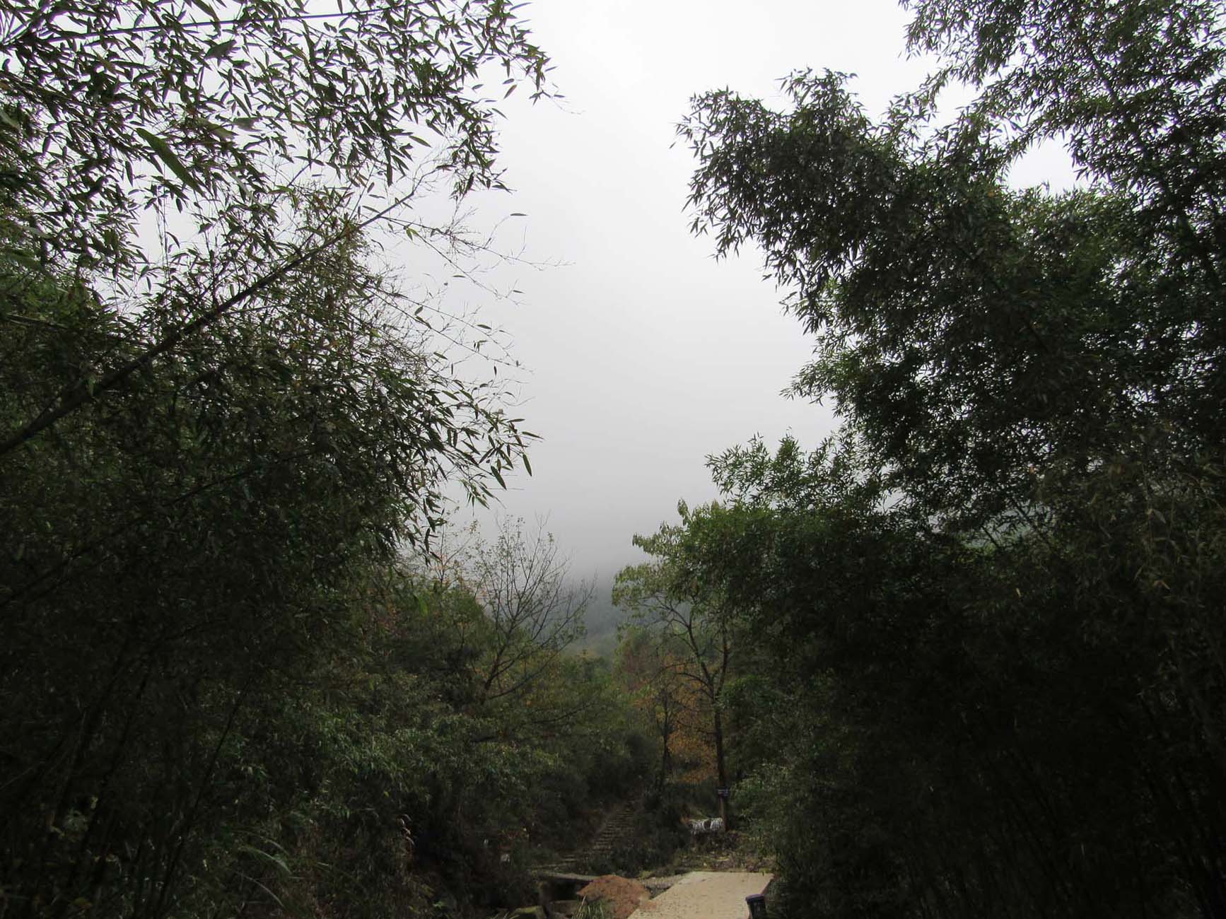 桃花山景区