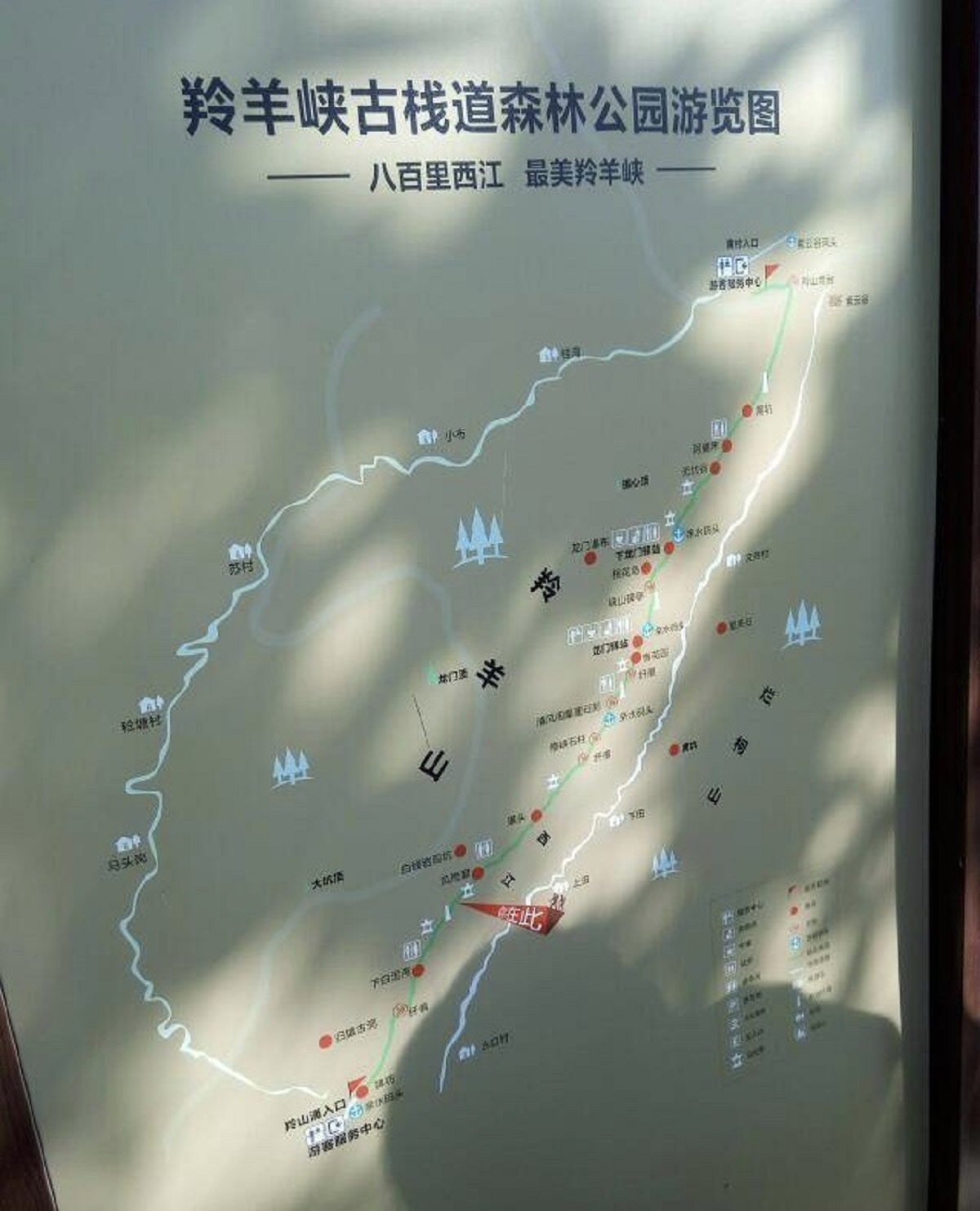 羚羊山森林公园