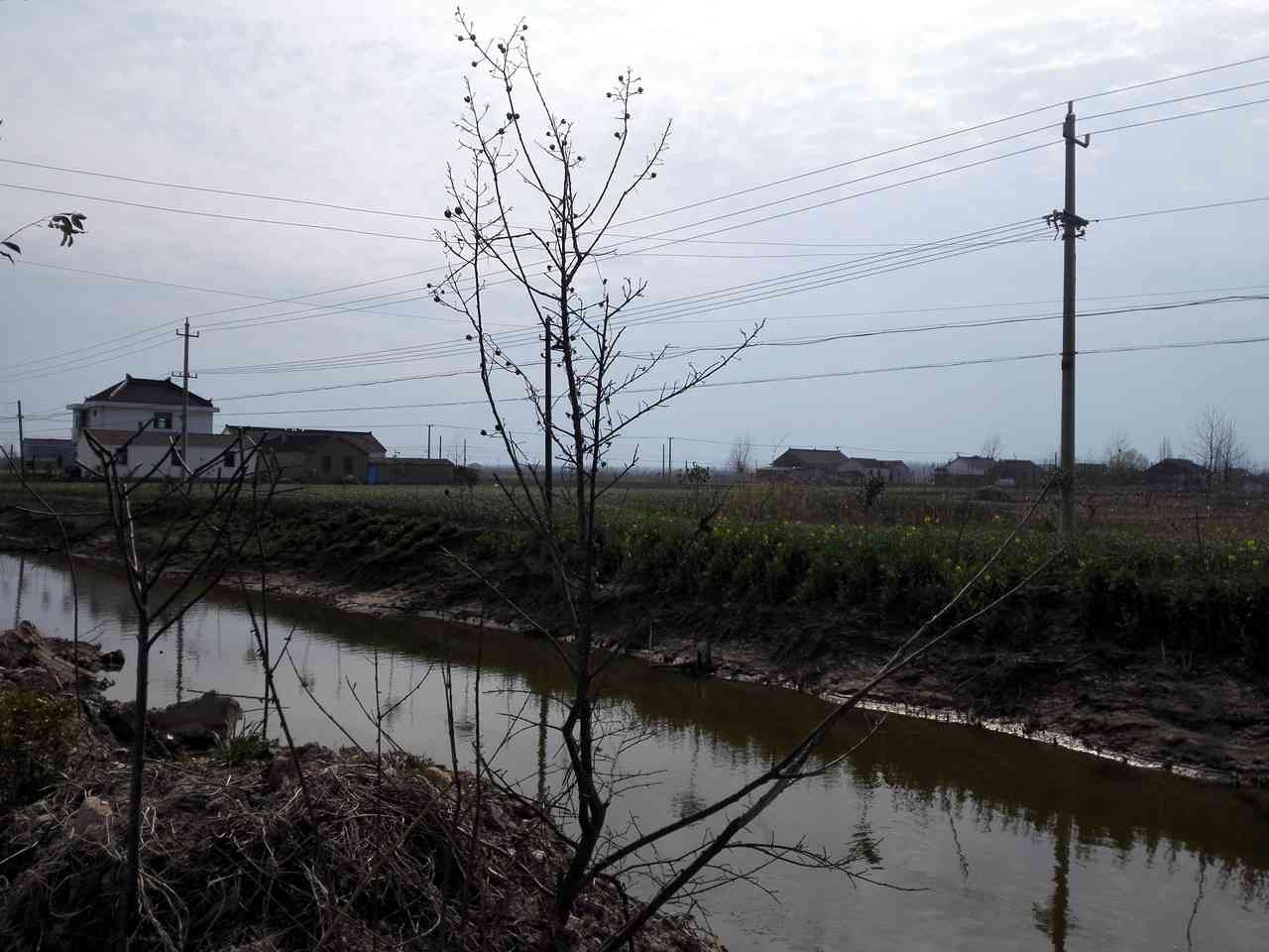 齐贤村中沟