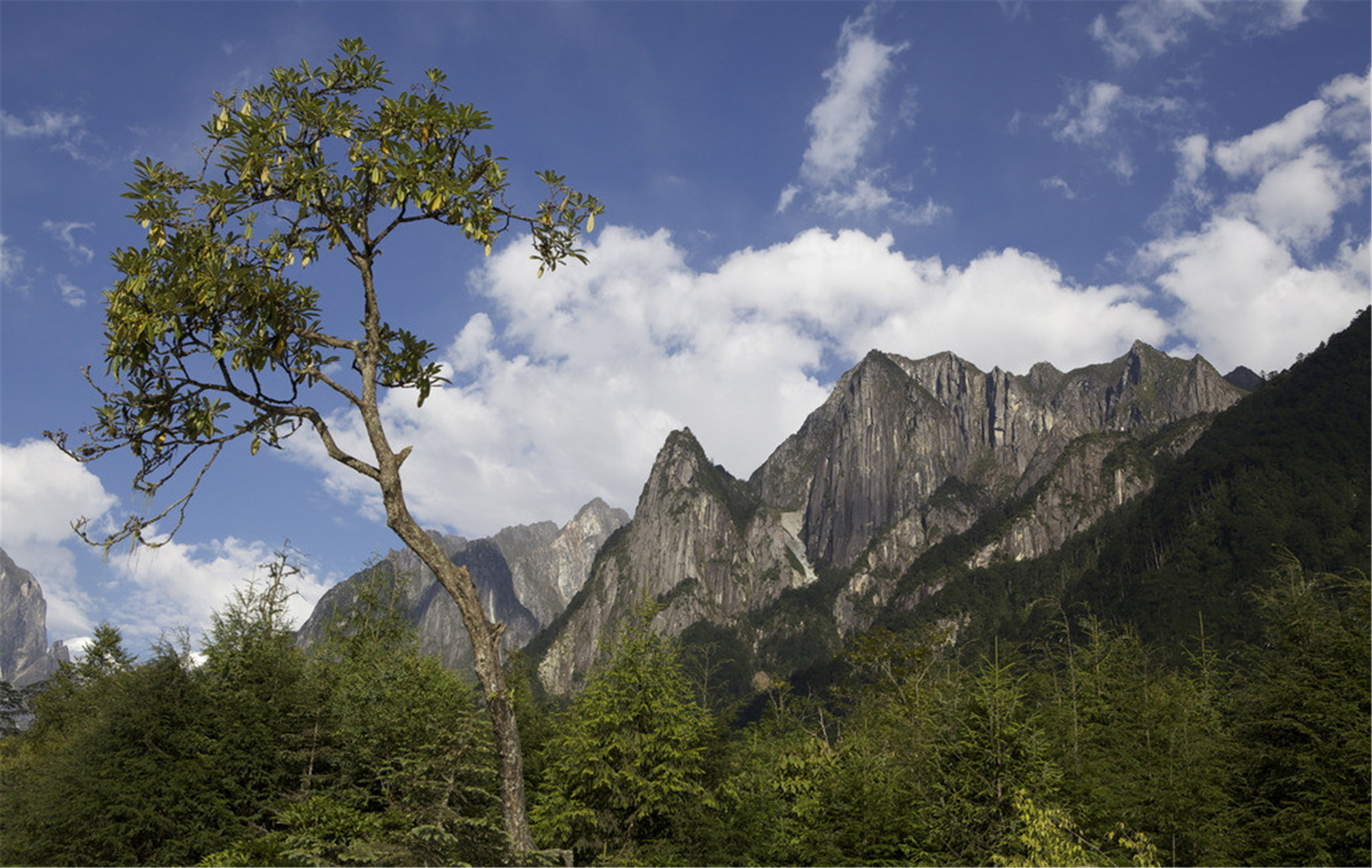 燕子山