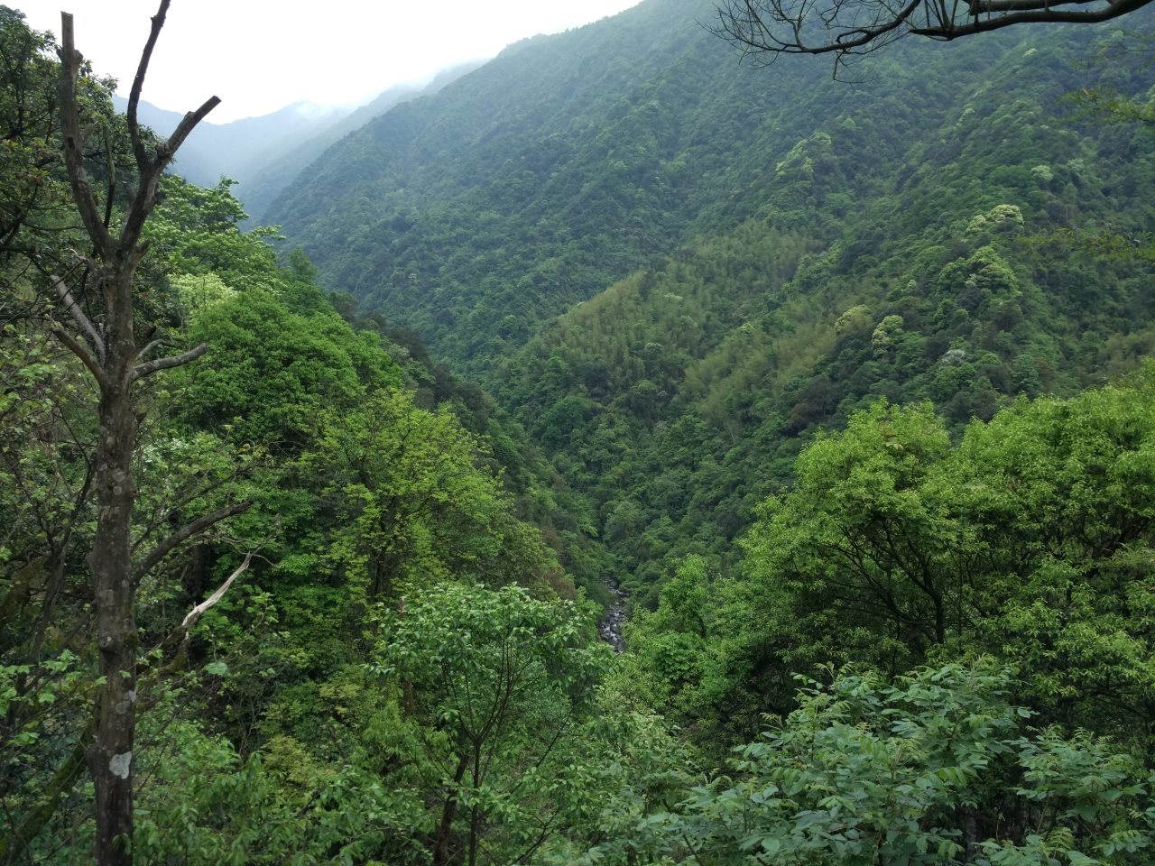 石龙沟