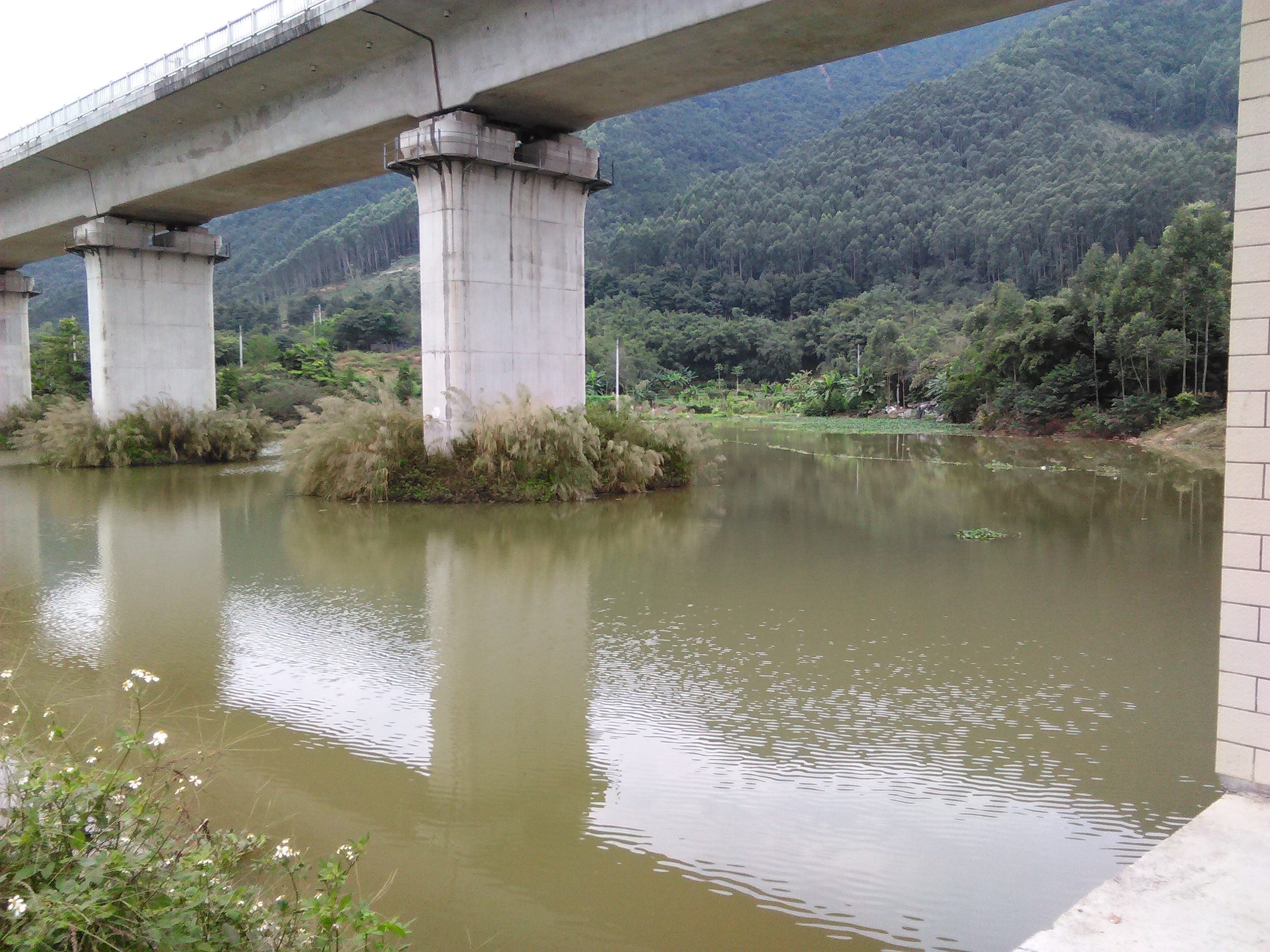 石龙水库