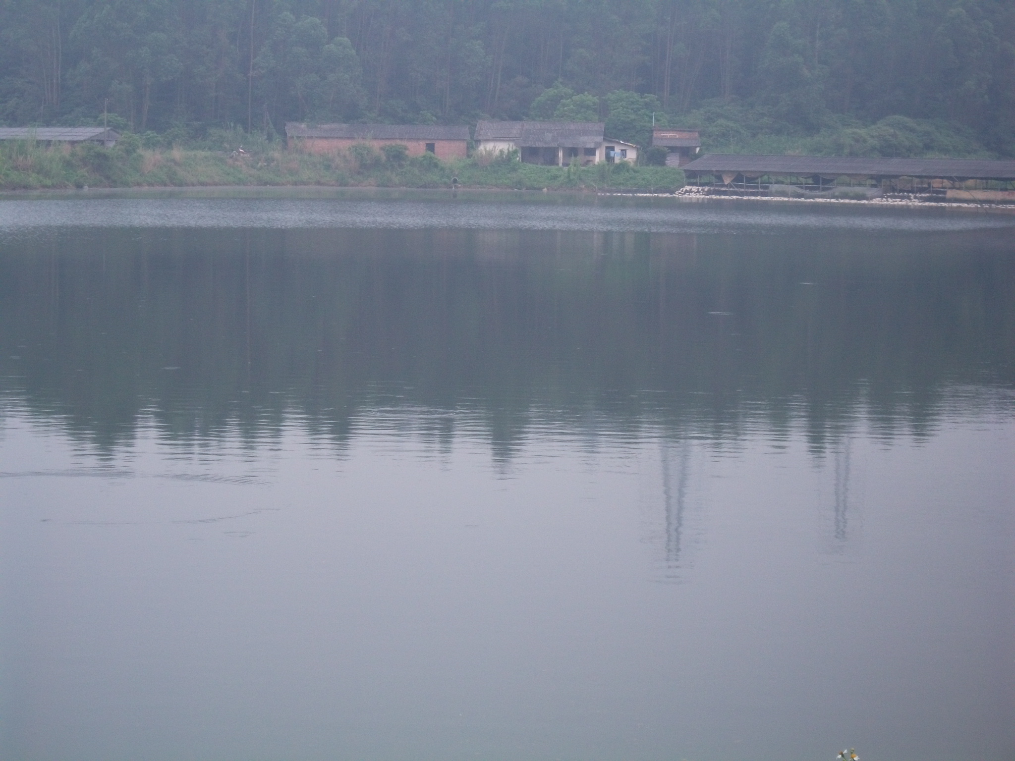 湖洋坑山塘水库