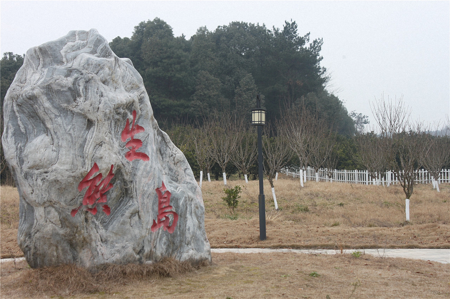 李家河生态岛