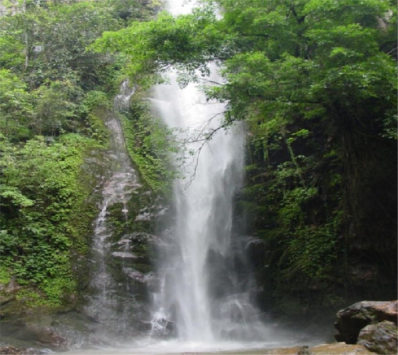 莫里热带雨林风景区