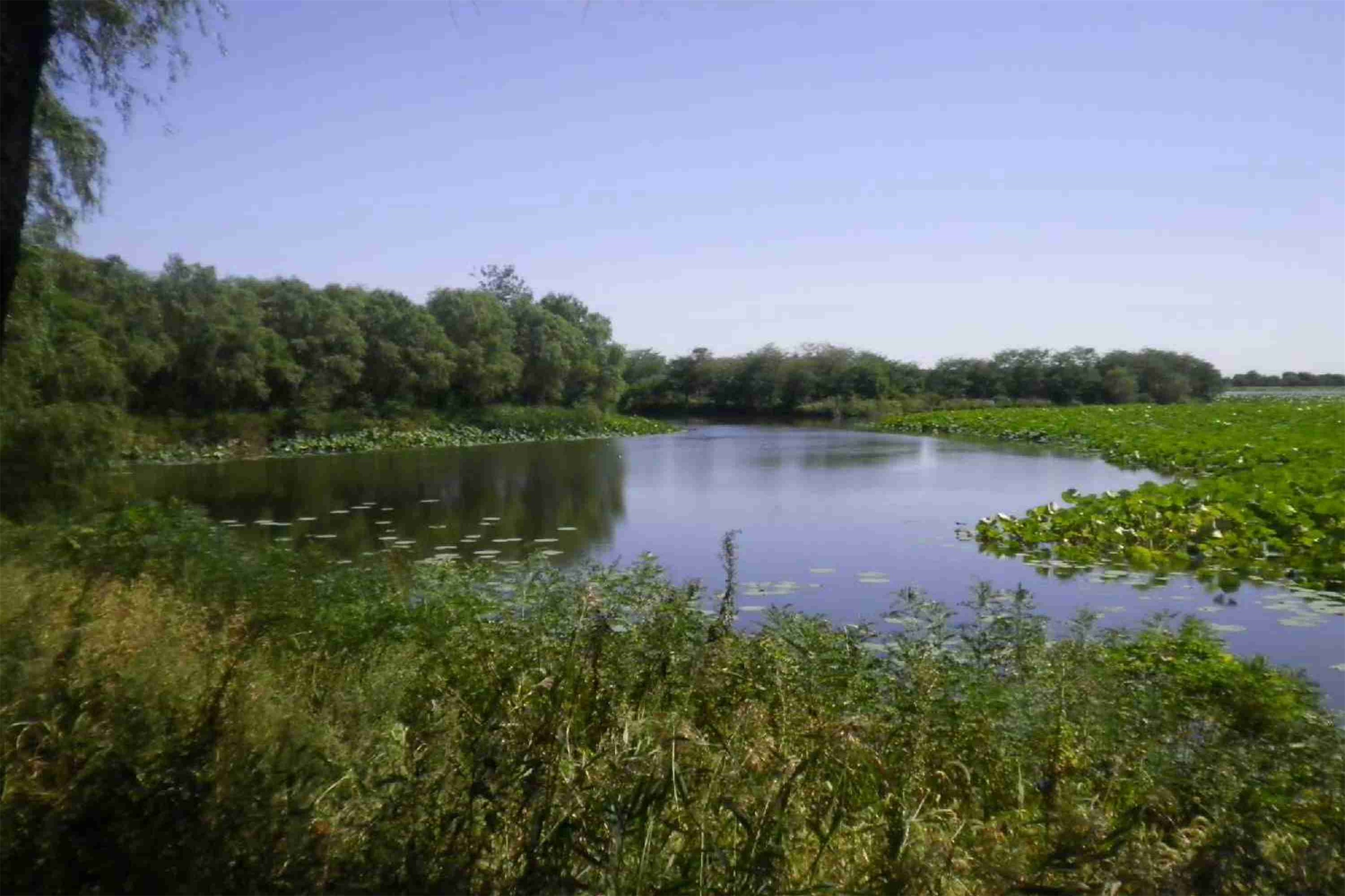 仙子湖景区