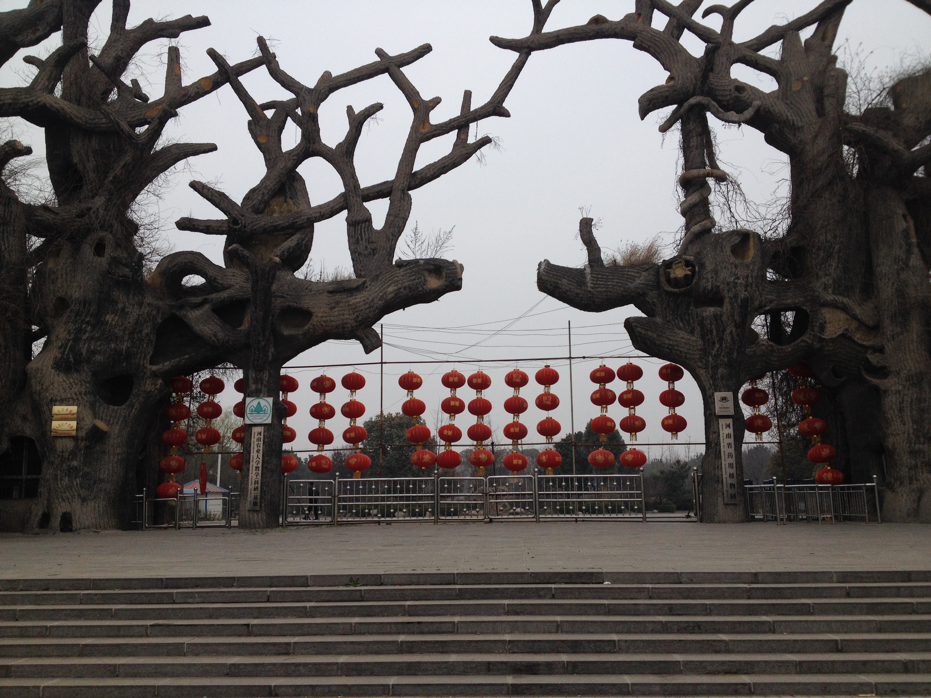 禹州市森林植物园