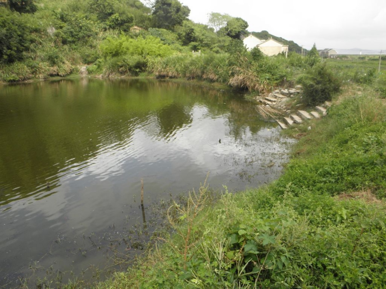 王家岙水库