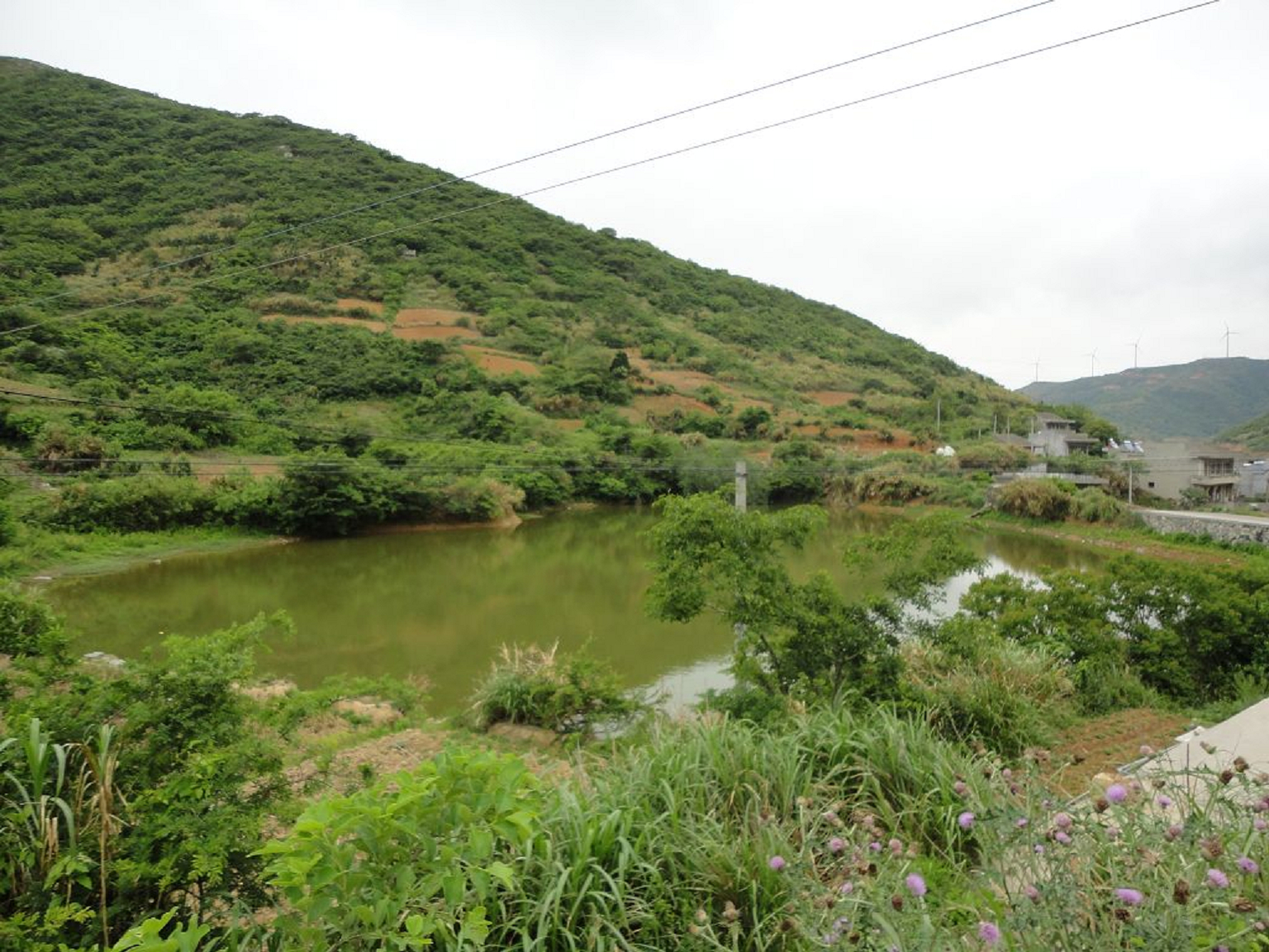 胡琴岙水库