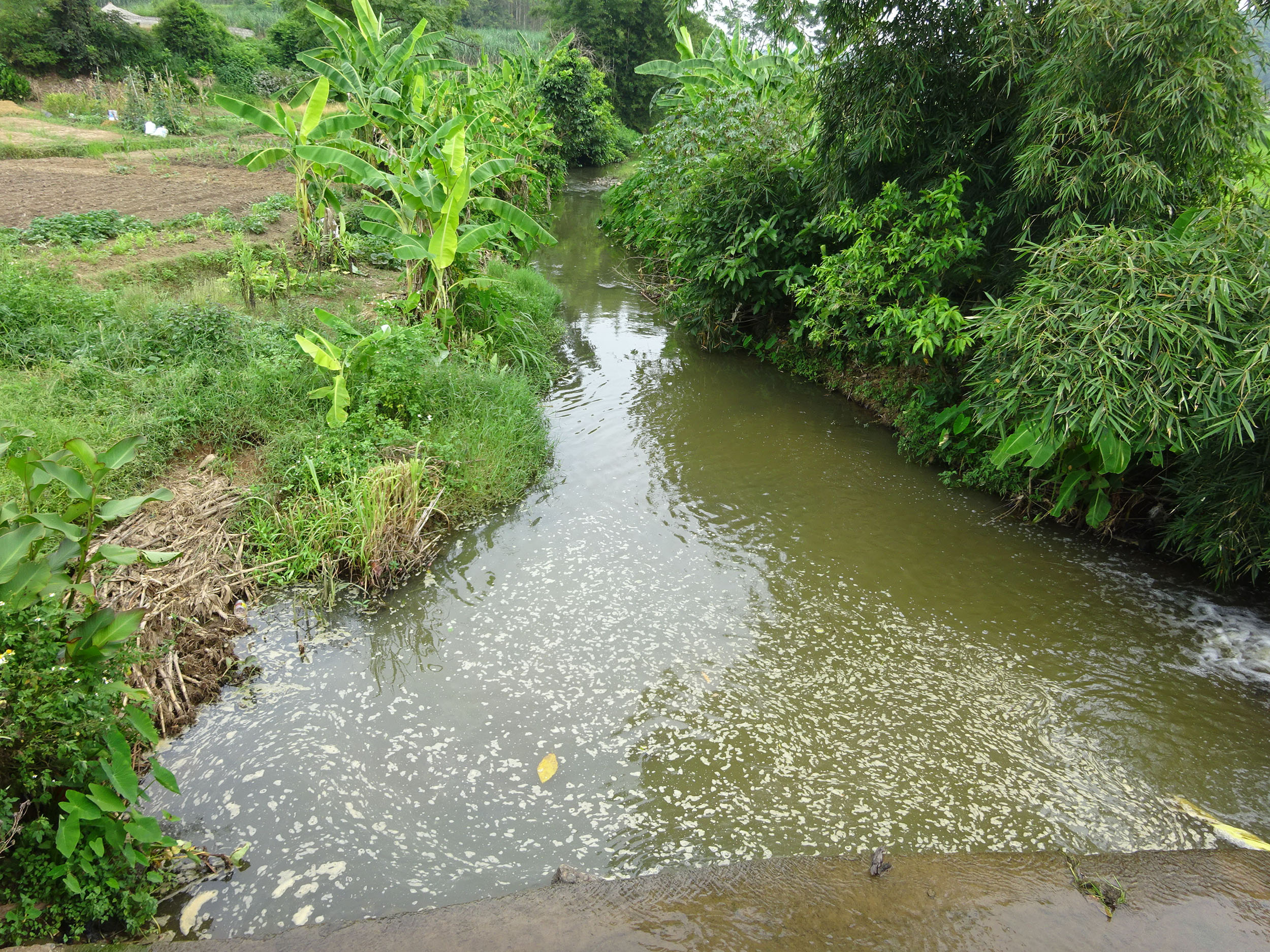 大里冲河