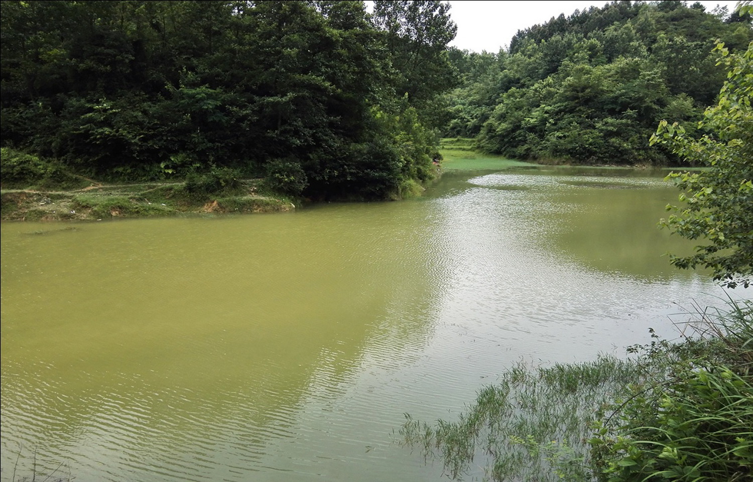 黄猫寨水库