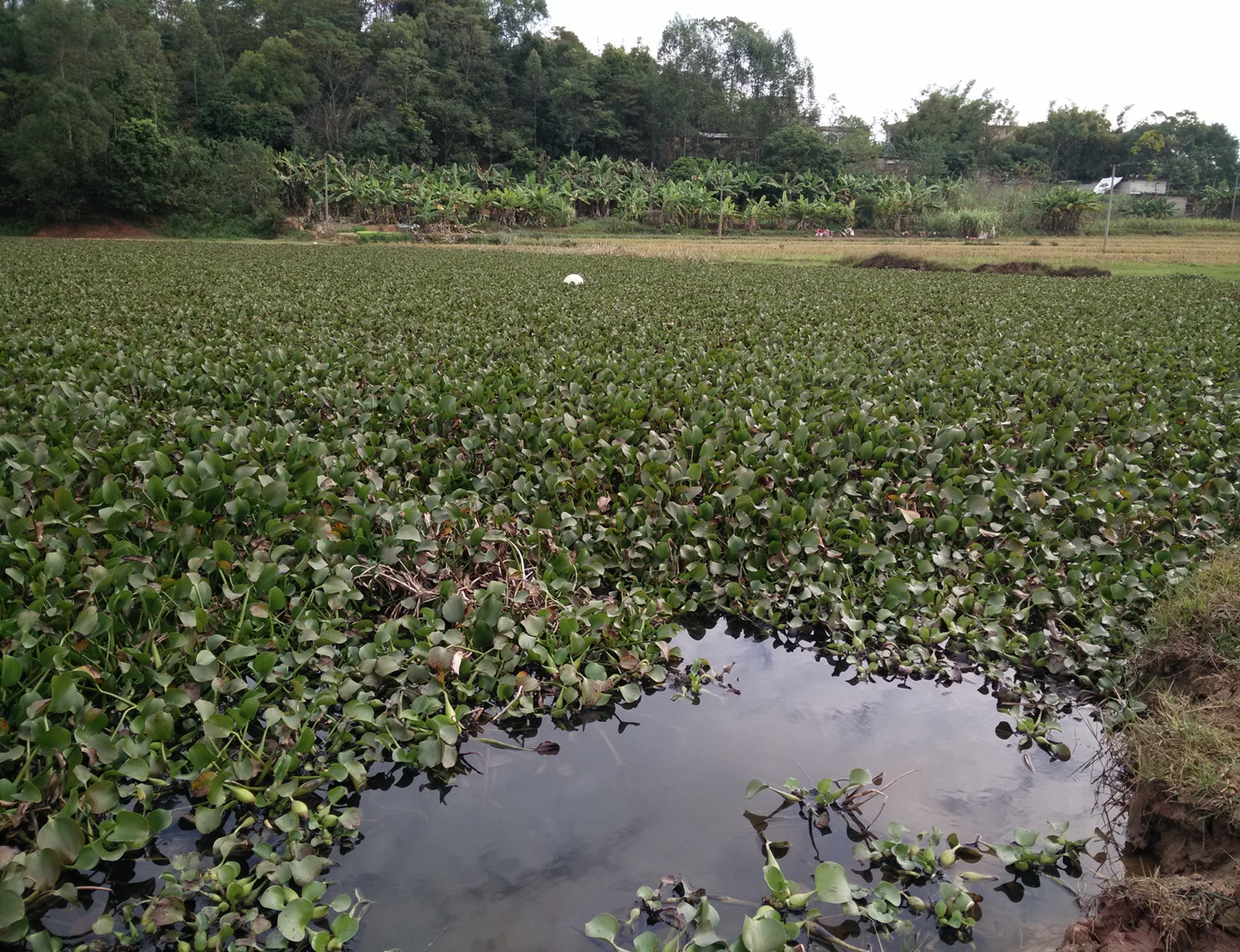 蜡竹湾水库