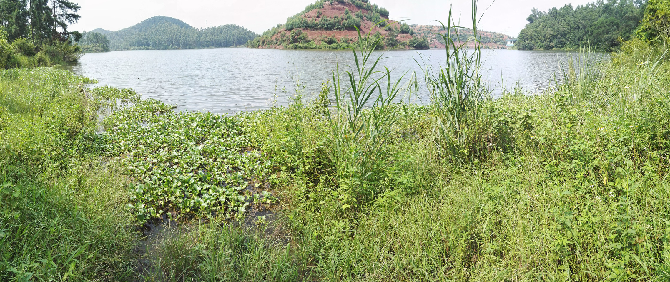 大王滩水库