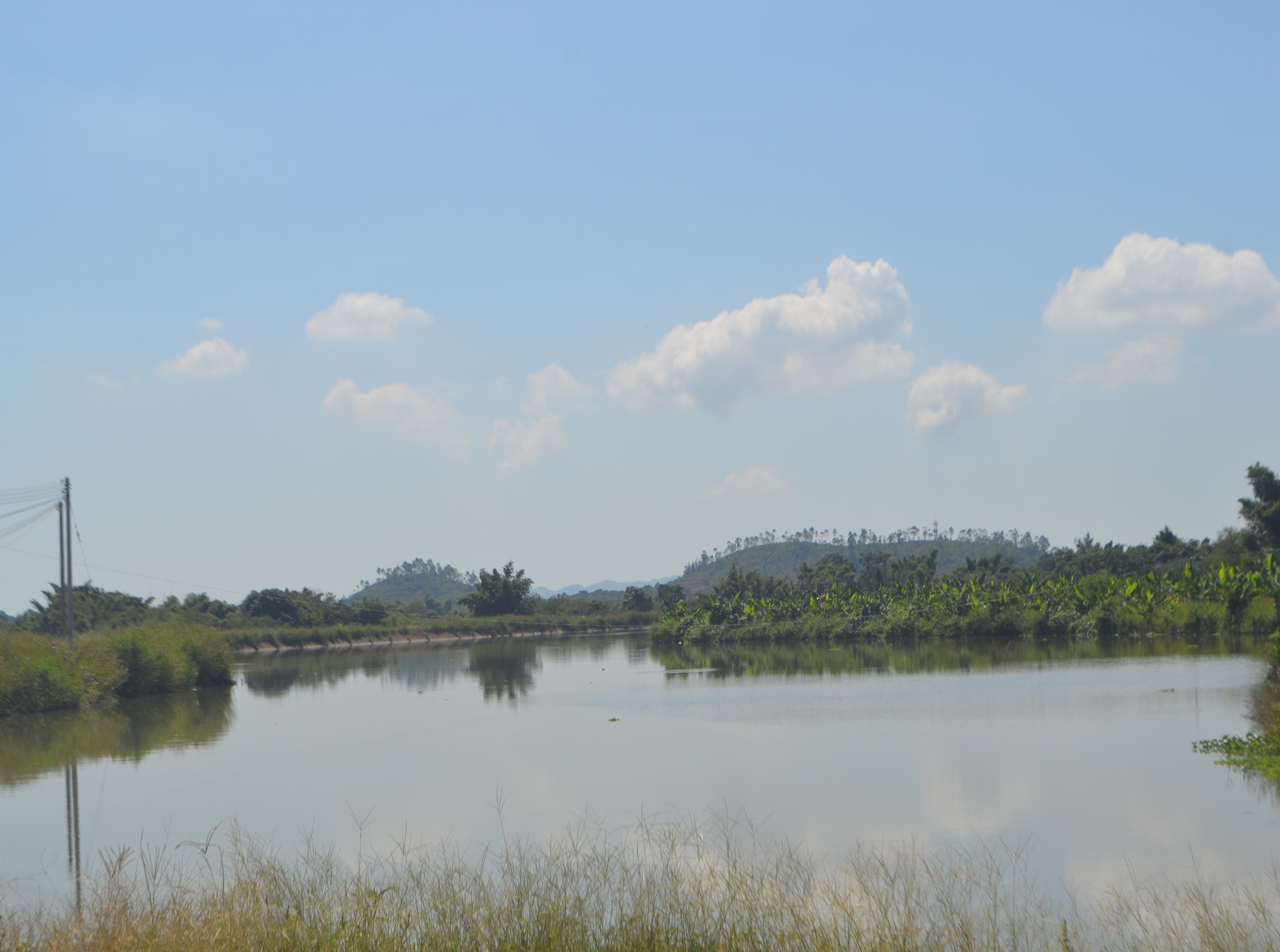 鳗鱼山水库