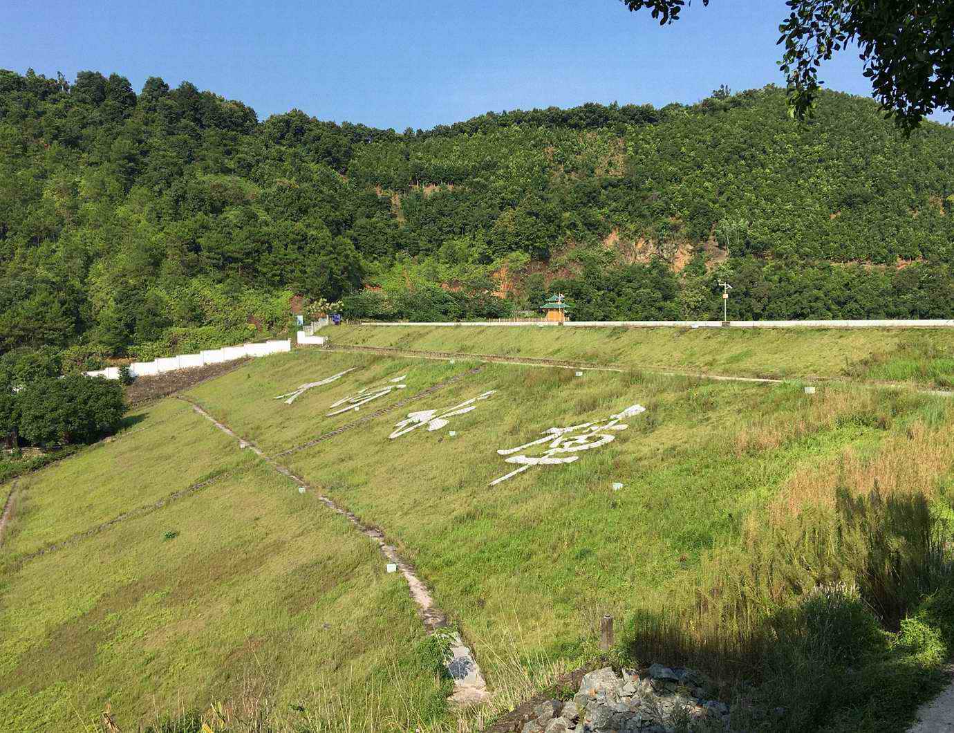 大河水库