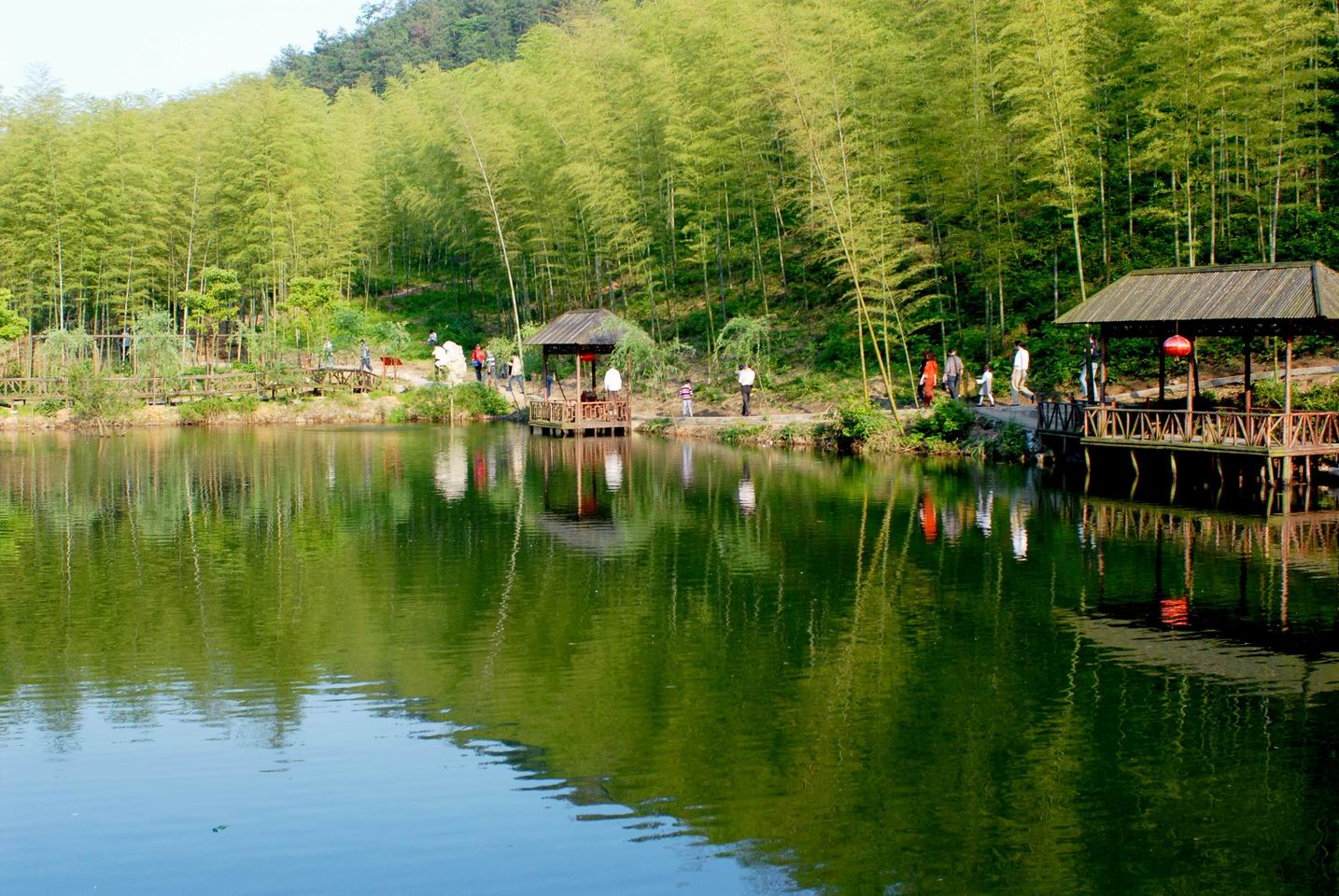 古银杏天泉景区