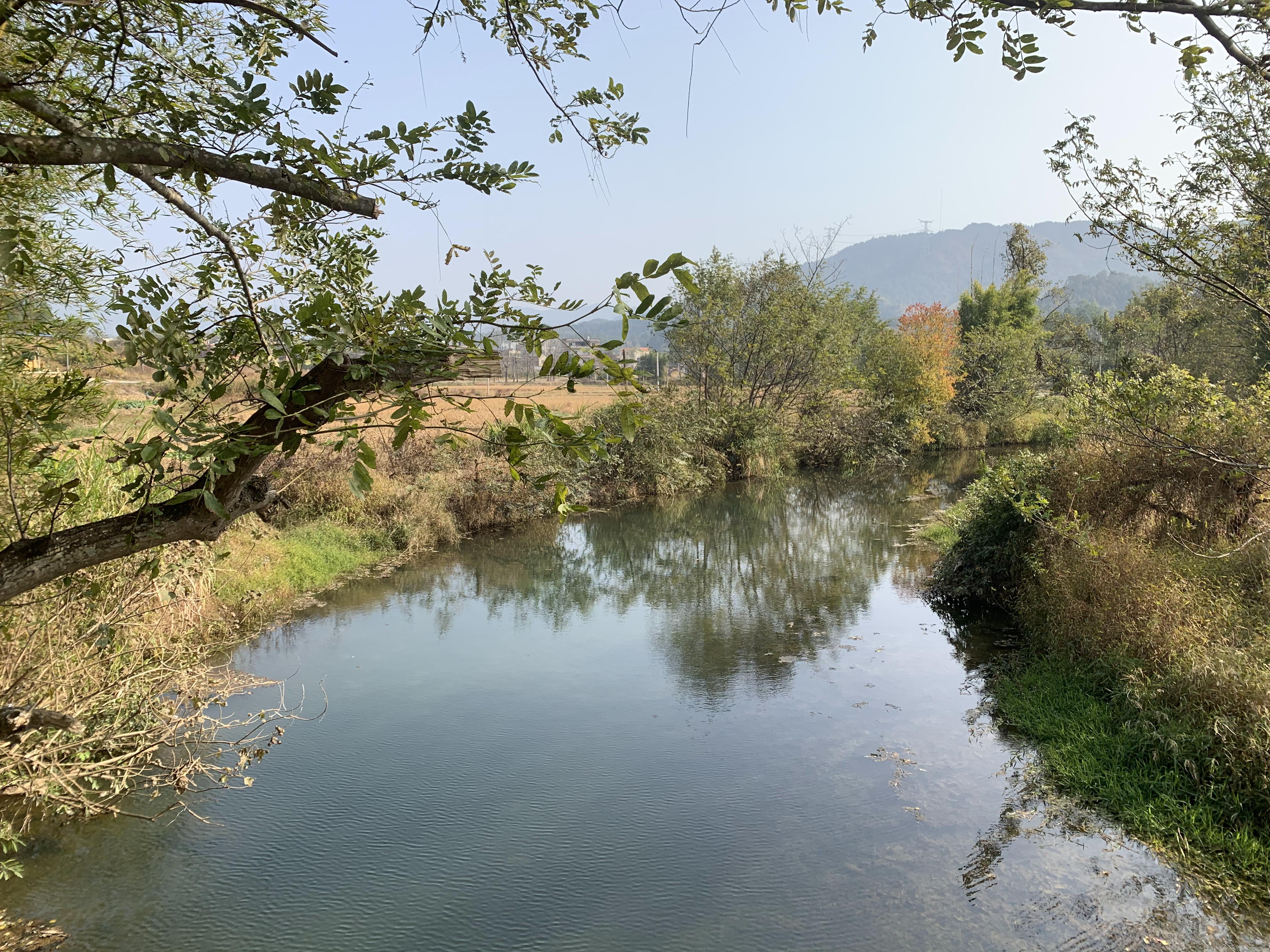 同古河