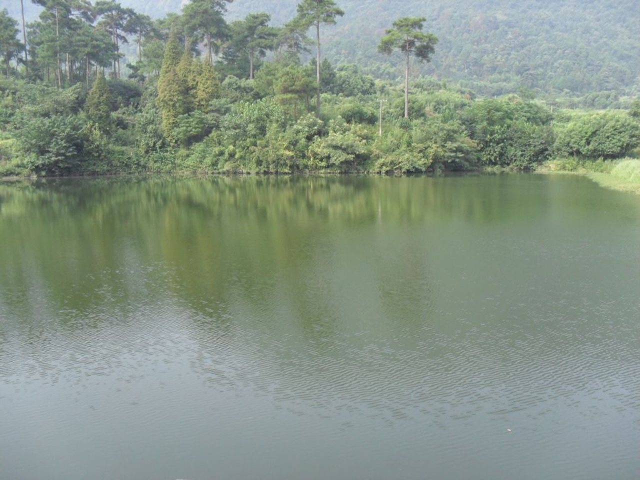 平和水库