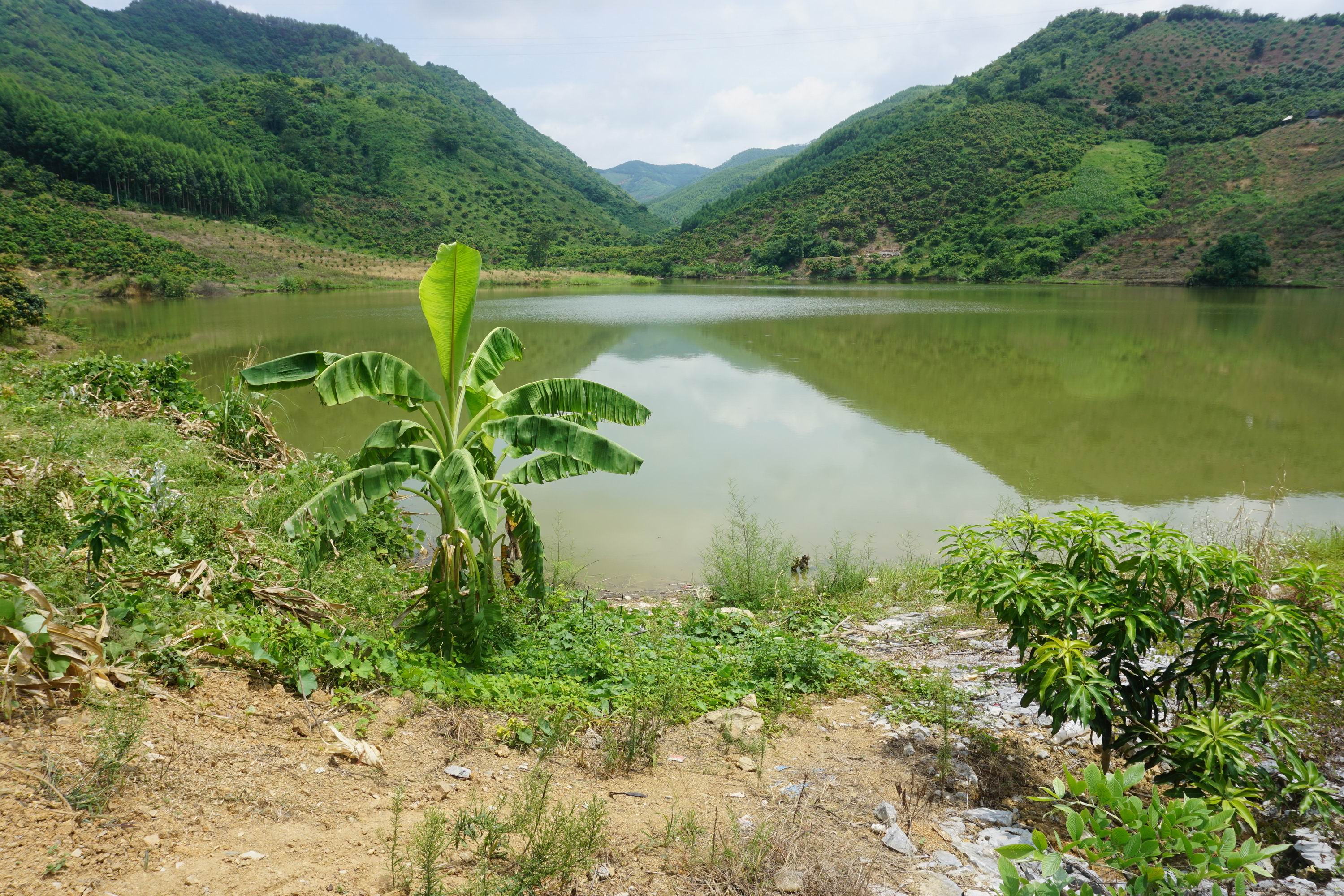 百朝水库