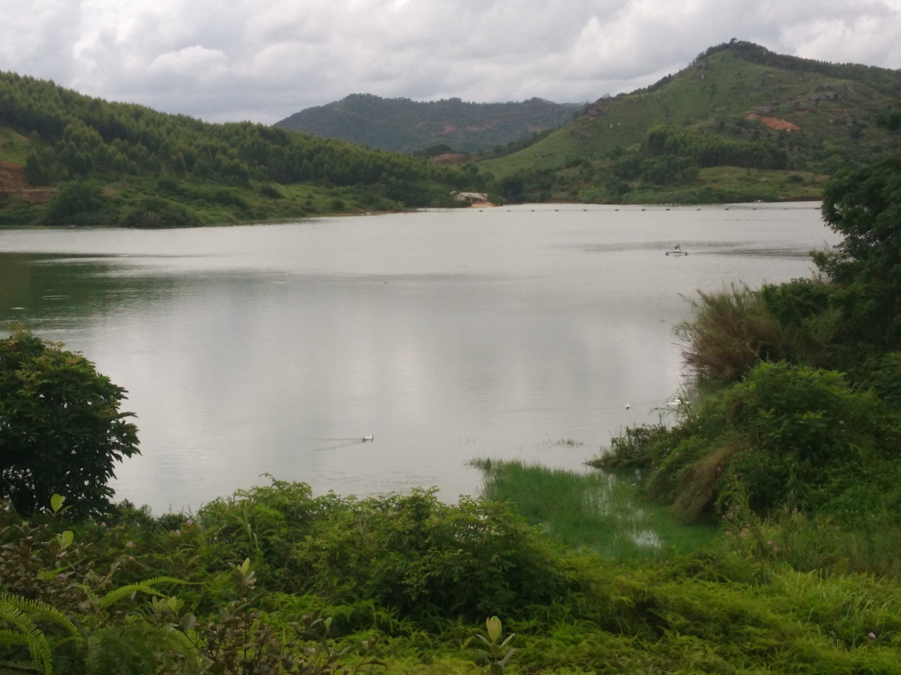 鸡仔池水库