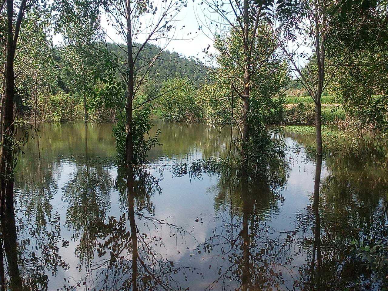 野鸡嘴水库