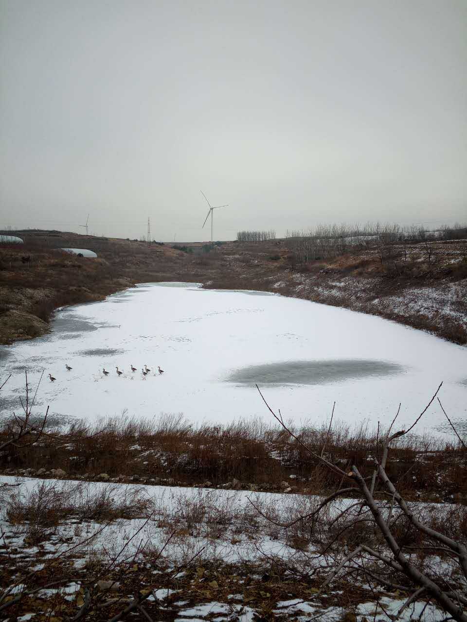 雷家庄水库