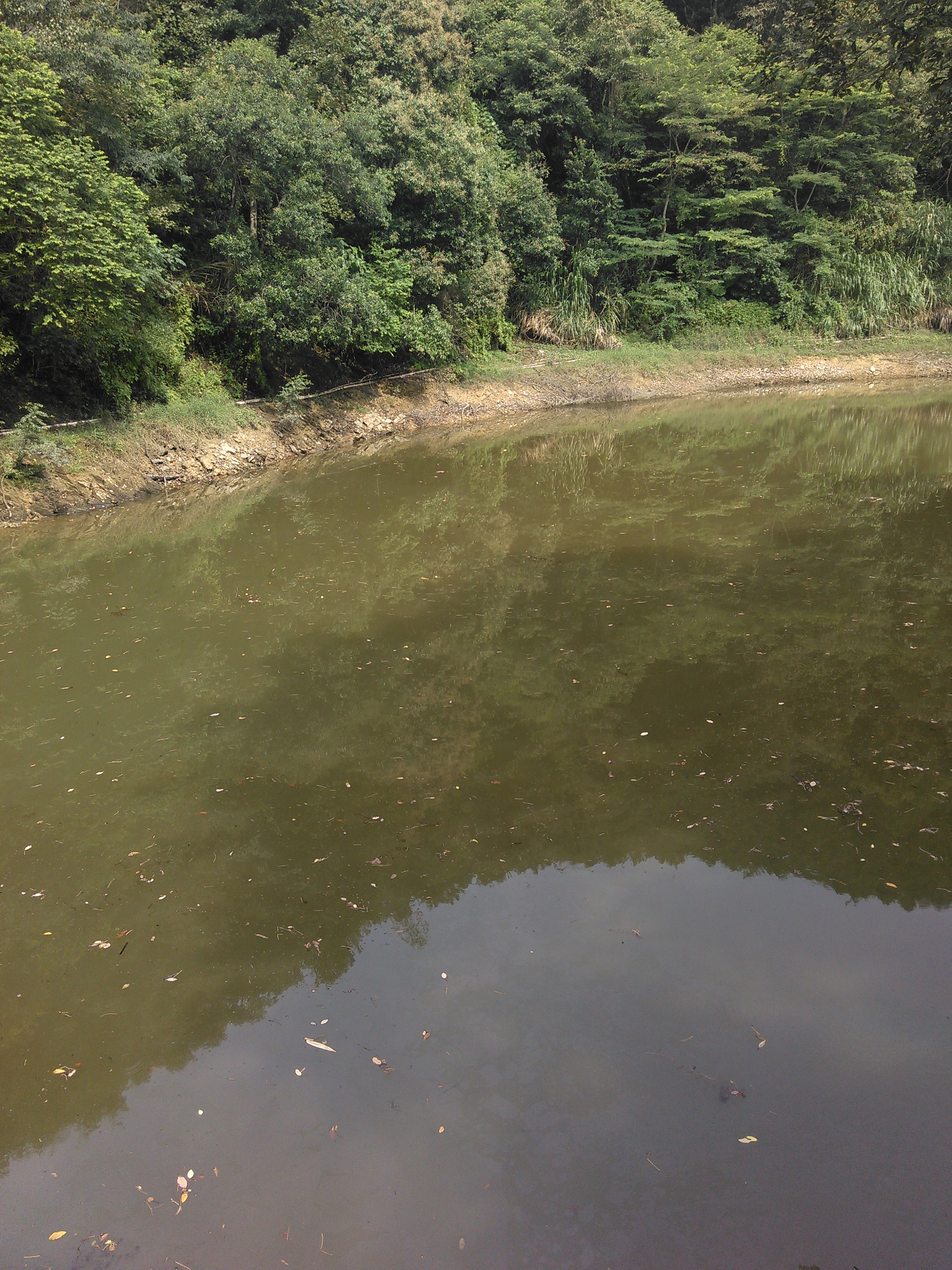 仙水塘水库