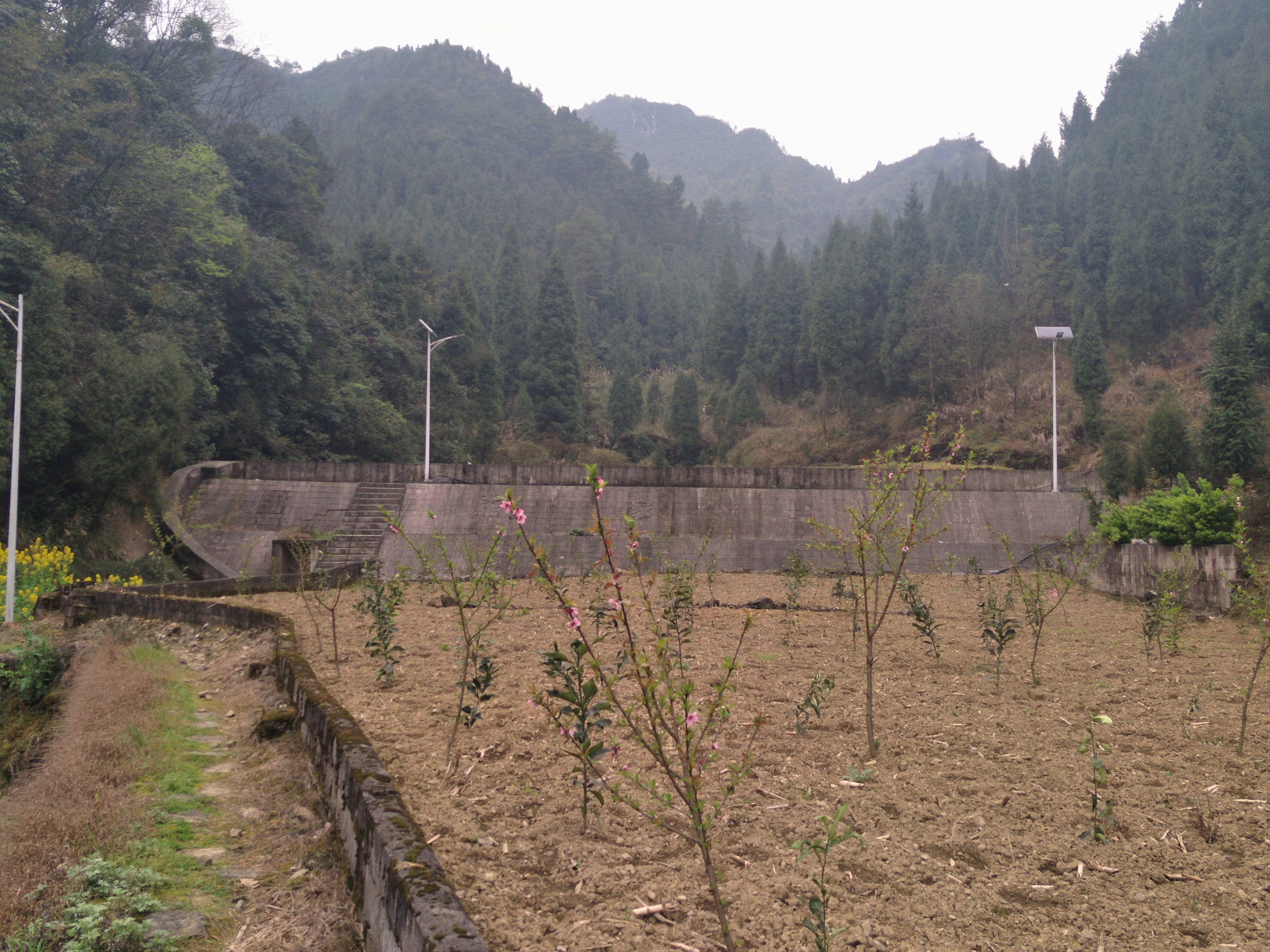 王家坪村光明水库