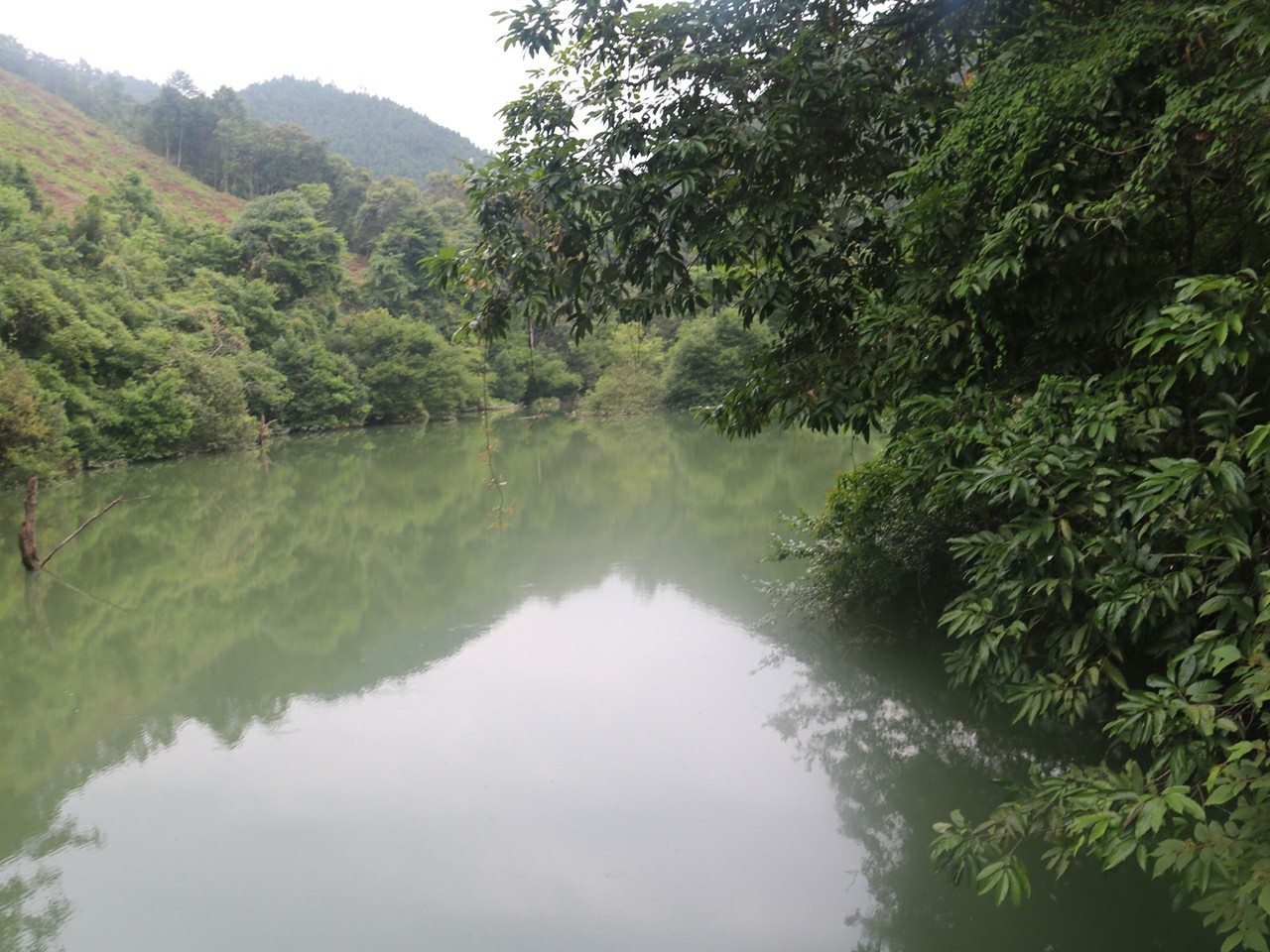 大陂岭水库